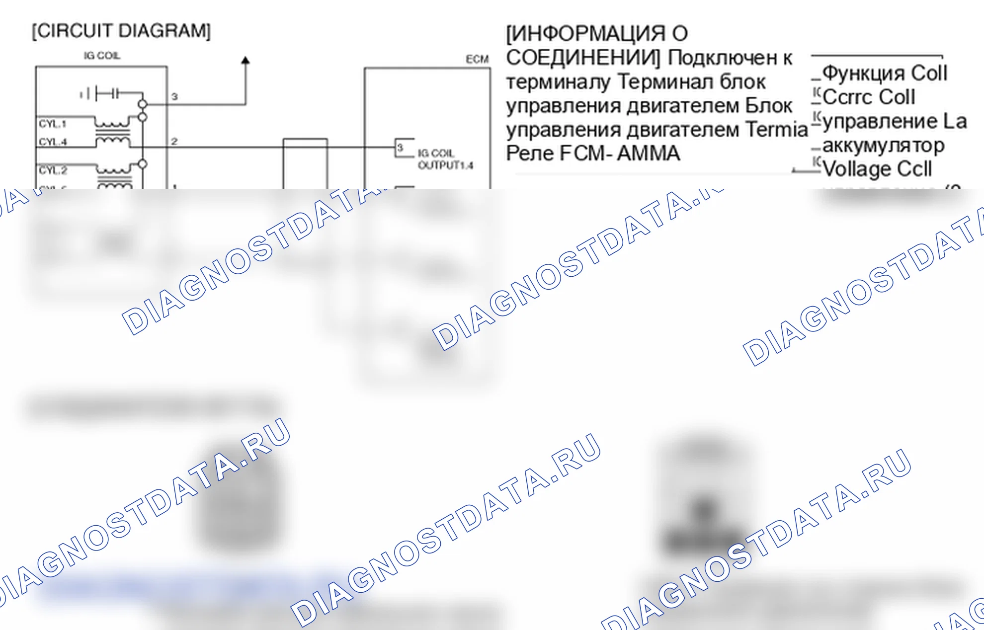 Фрагмент электросхемы: P0354. Kia Sportage KM