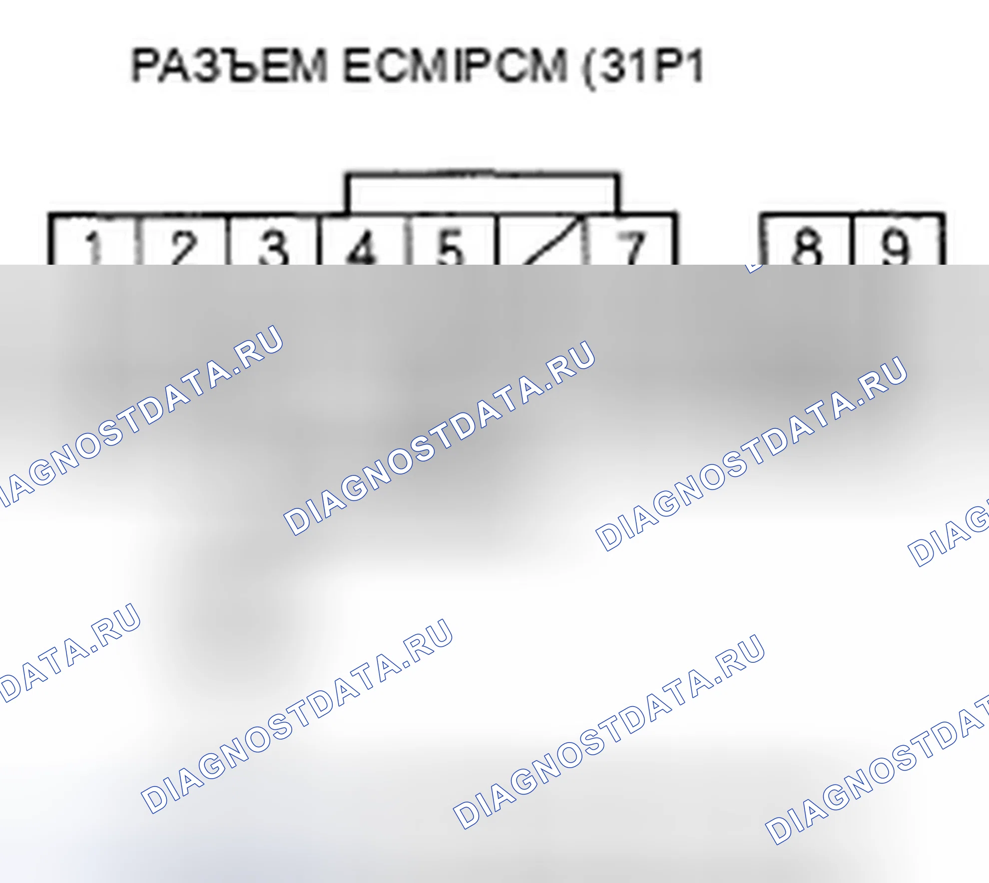 Рис. 444. Honda Element YH2 рестайлинг