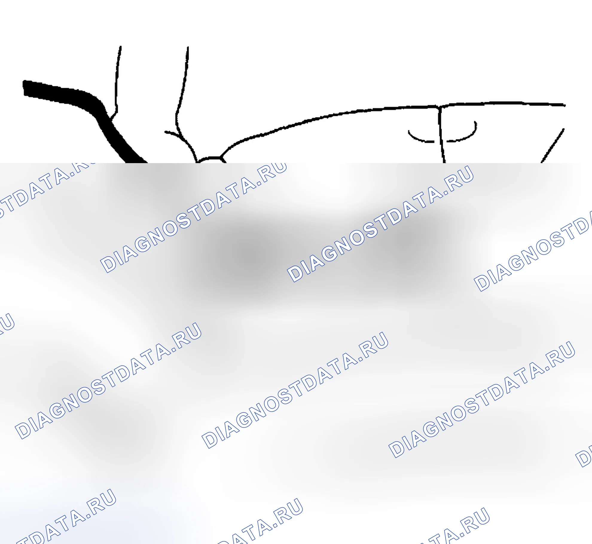 Рис. 158. Hyundai Venue I