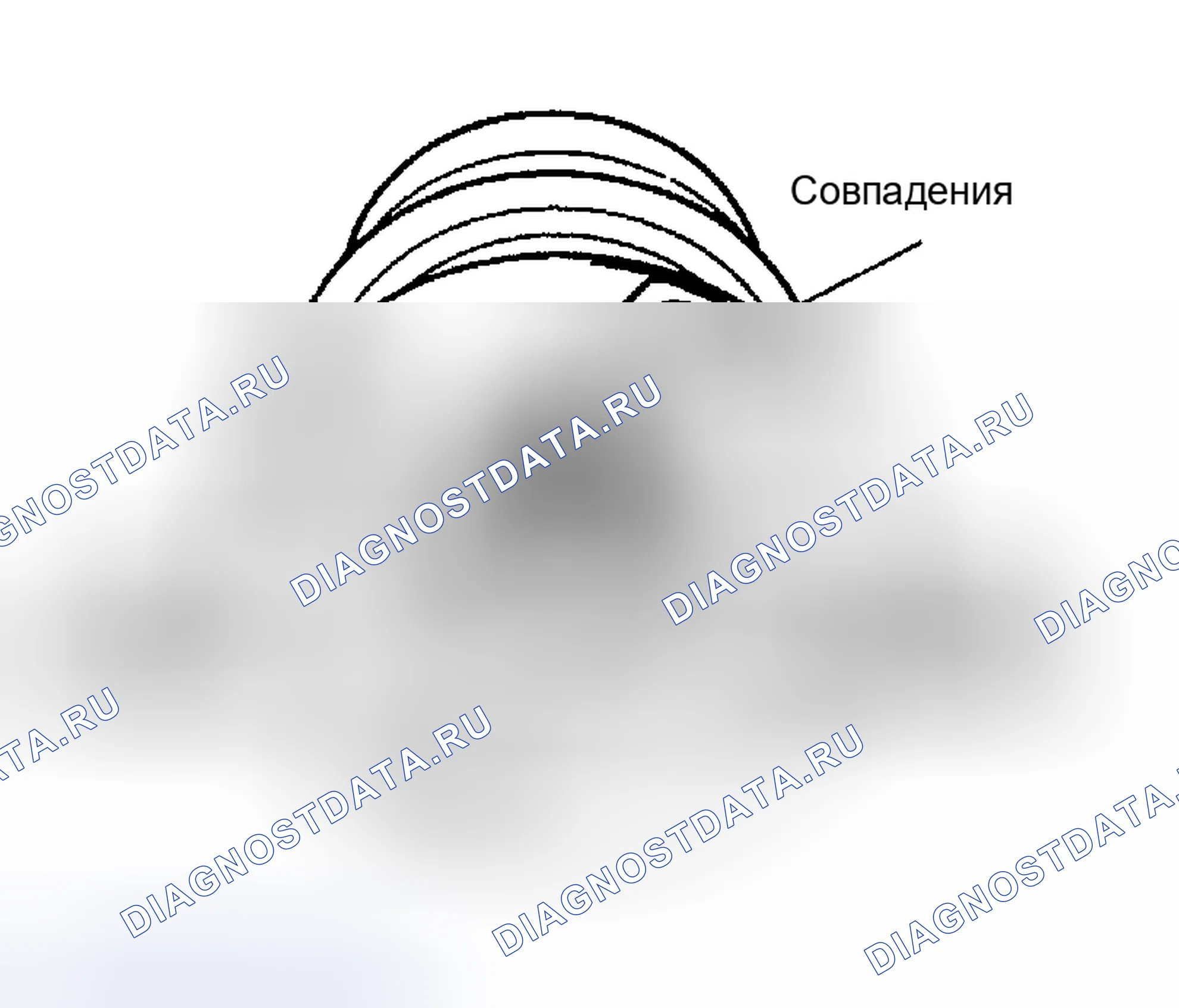 Рис. 22. Haval Menglong I