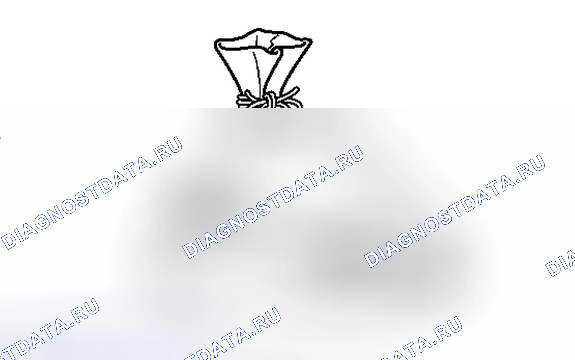 Рис. 146. Toyota Tacoma II рестайлинг