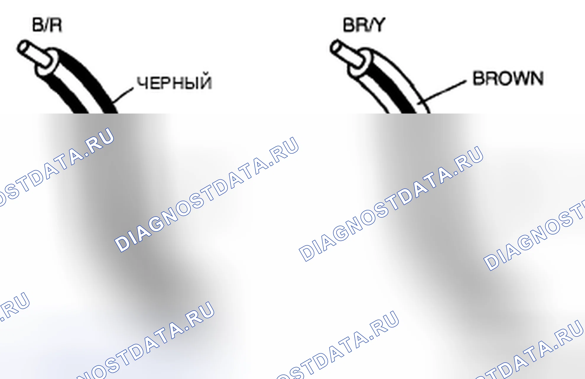 Рис. 19: Цветовые коды проводки. Audi R8 I