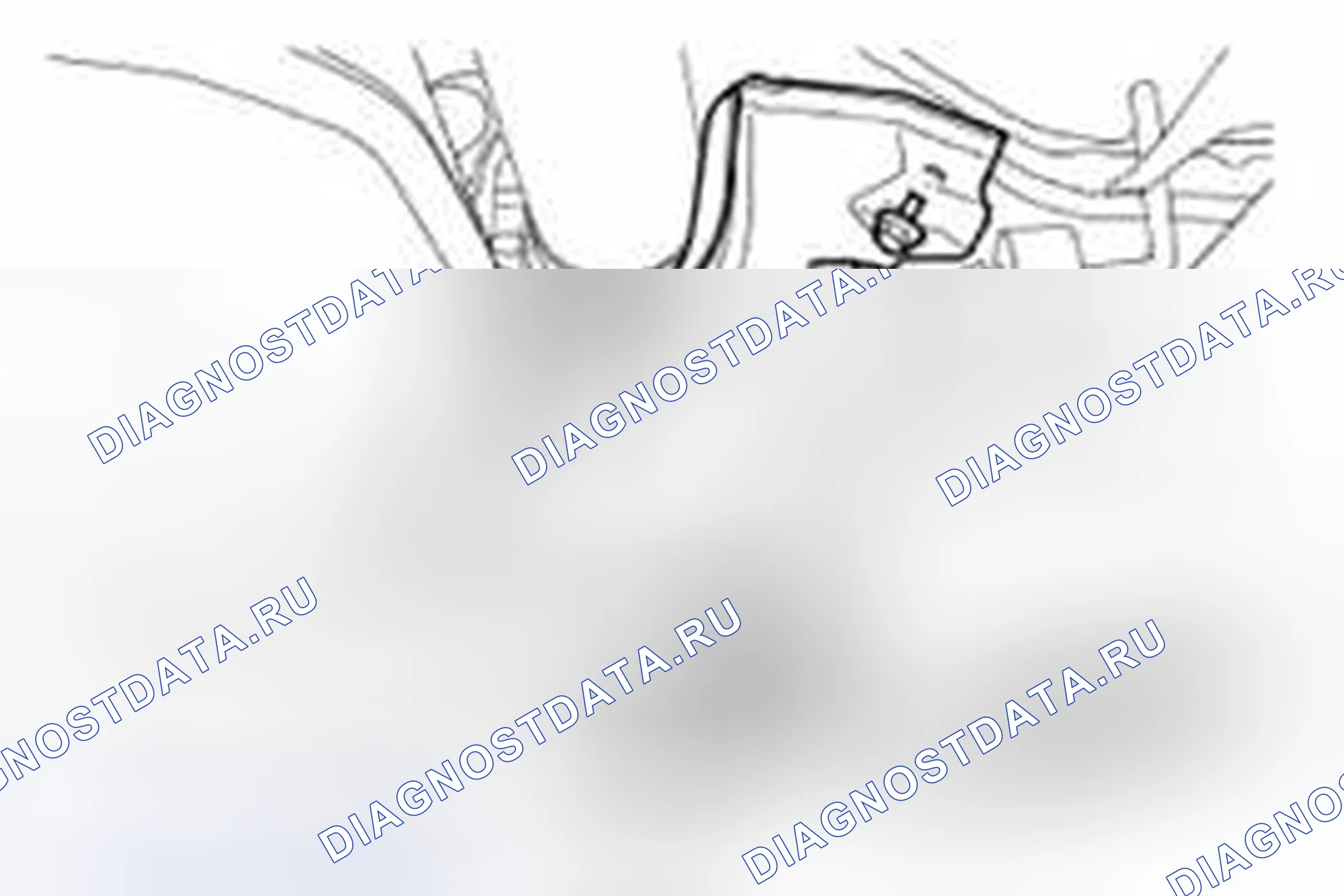 Рис. 44. Land Rover Range Rover Sport I