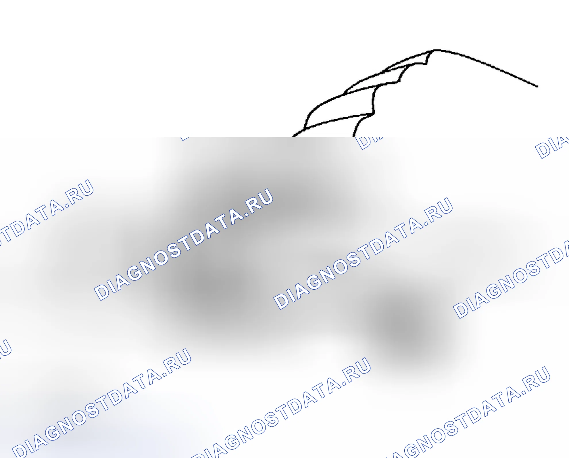 Рис. 145. Haval Menglong I