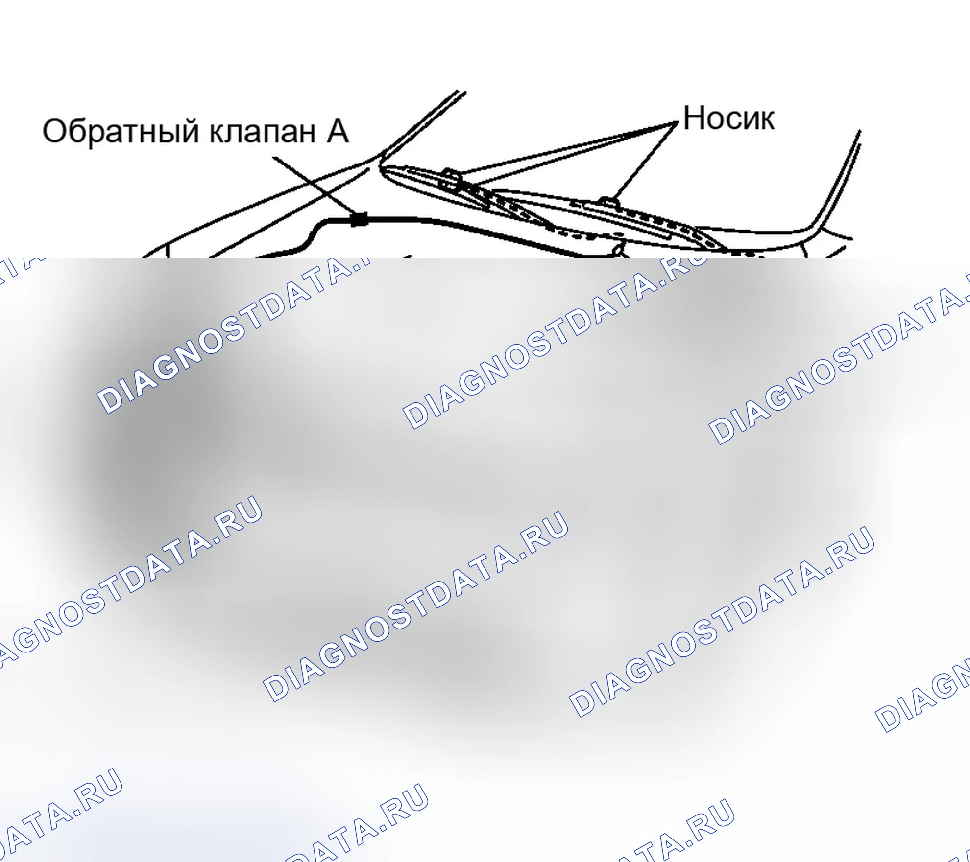 Рис. 257: Схема расположения трубок омывателя. Infiniti G35 III