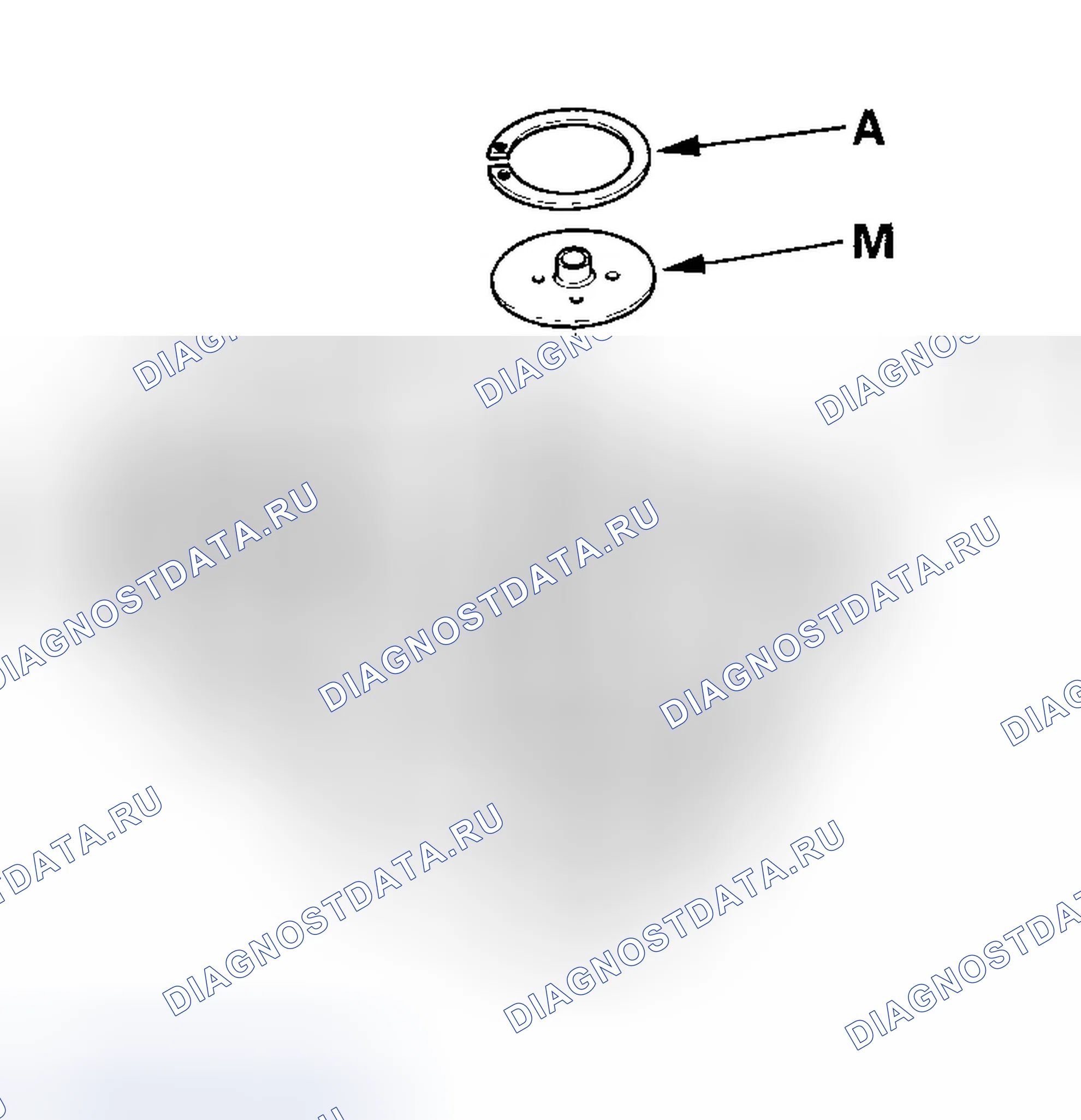 Рис. 5. Honda Element YH2