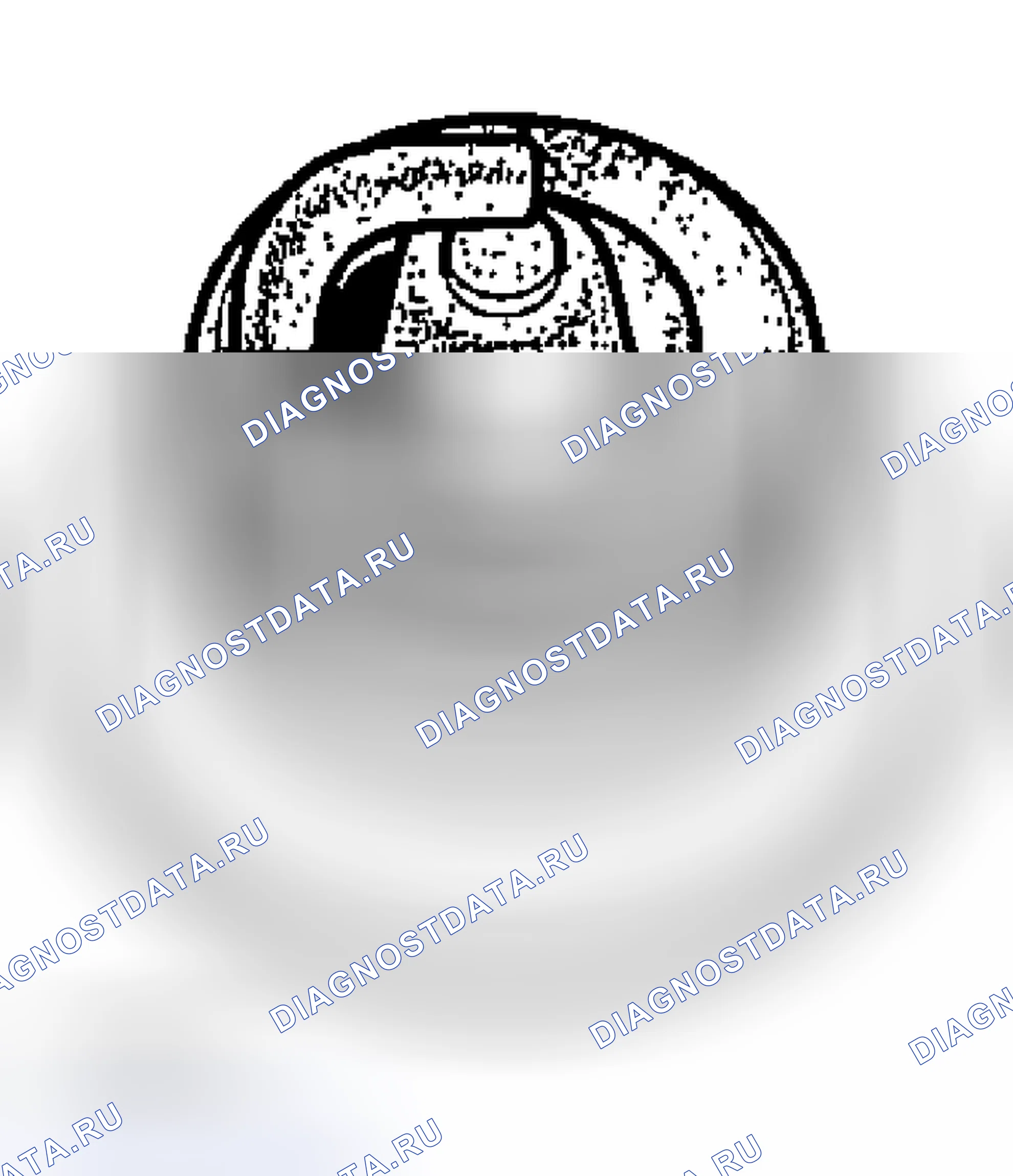 Рис. 31. Subaru Outback BP