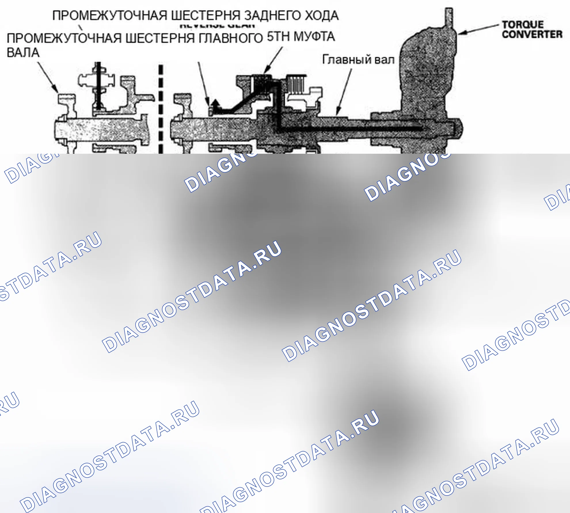 Рис. 746: Положение R. Honda Civic VIII