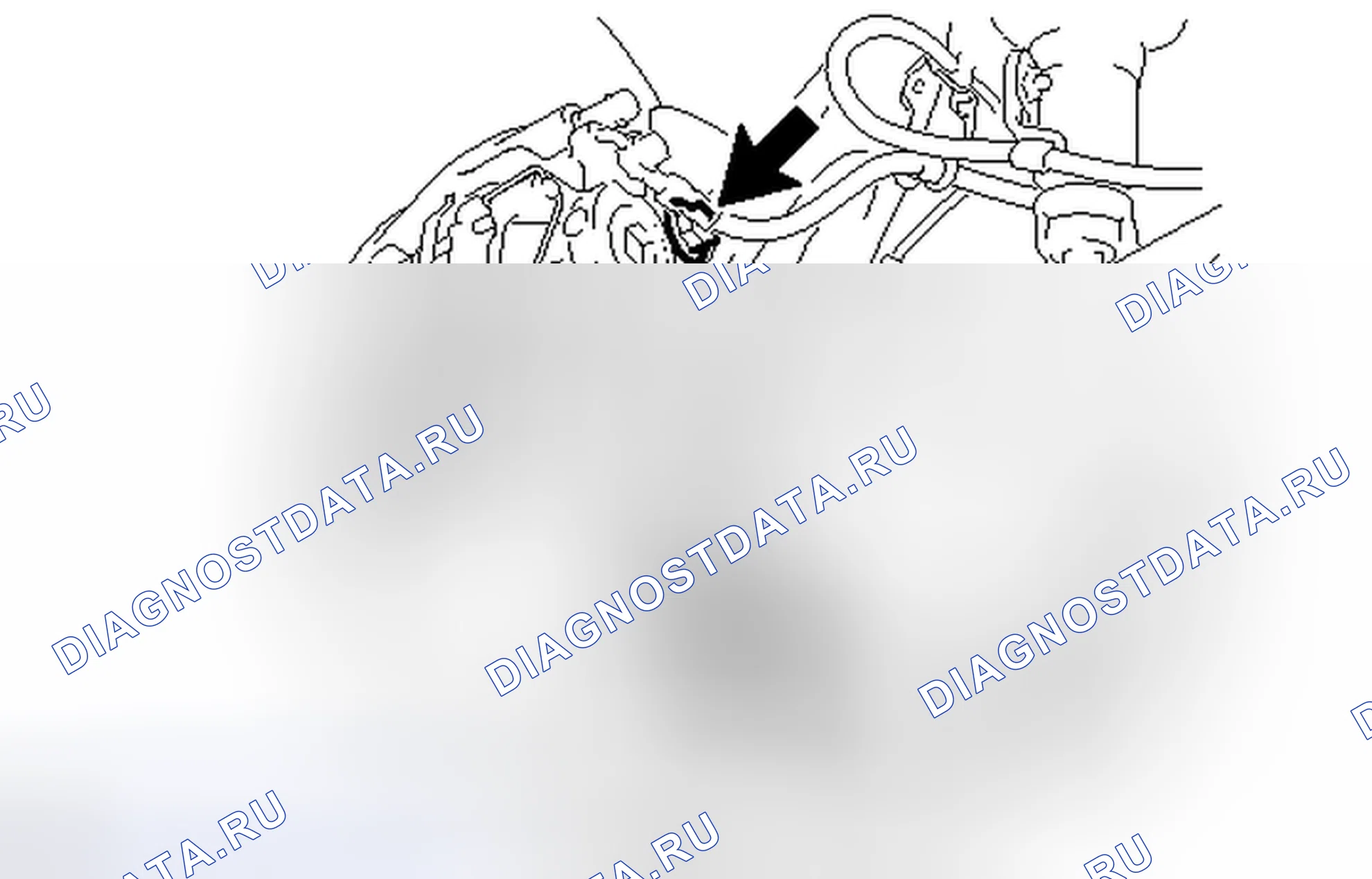 Рис. 33. Honda Accord IV