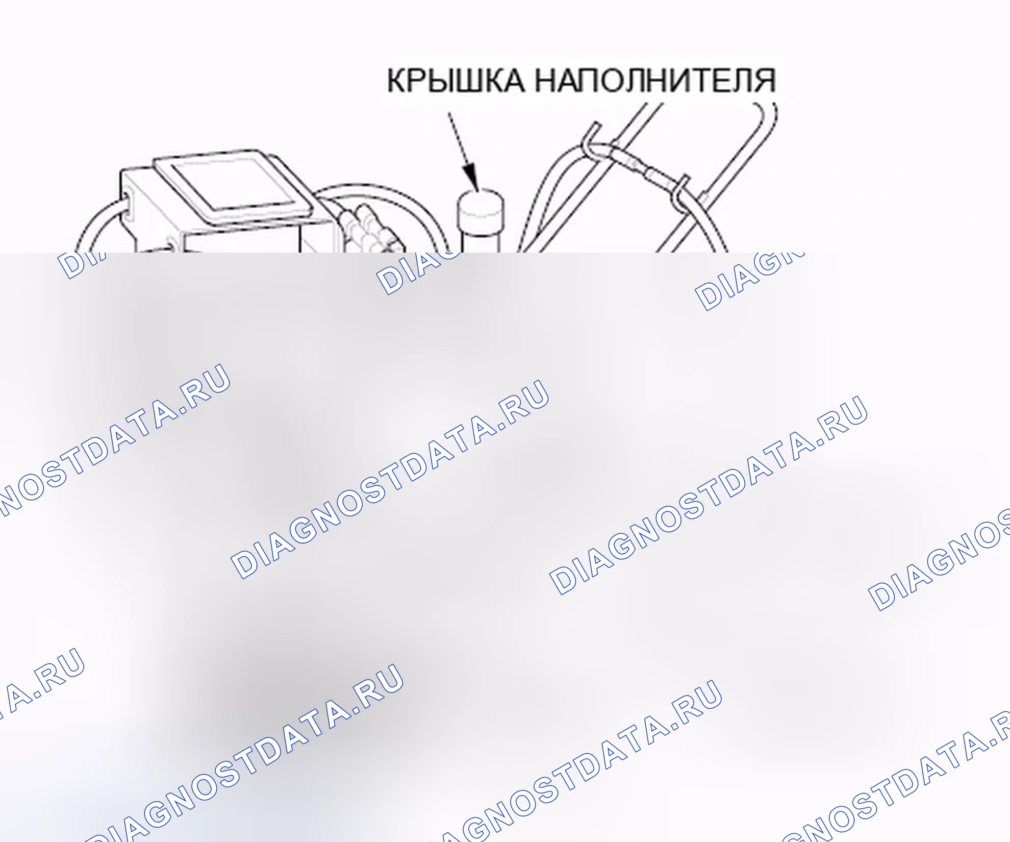 Рис. 518. Honda Crosstour I