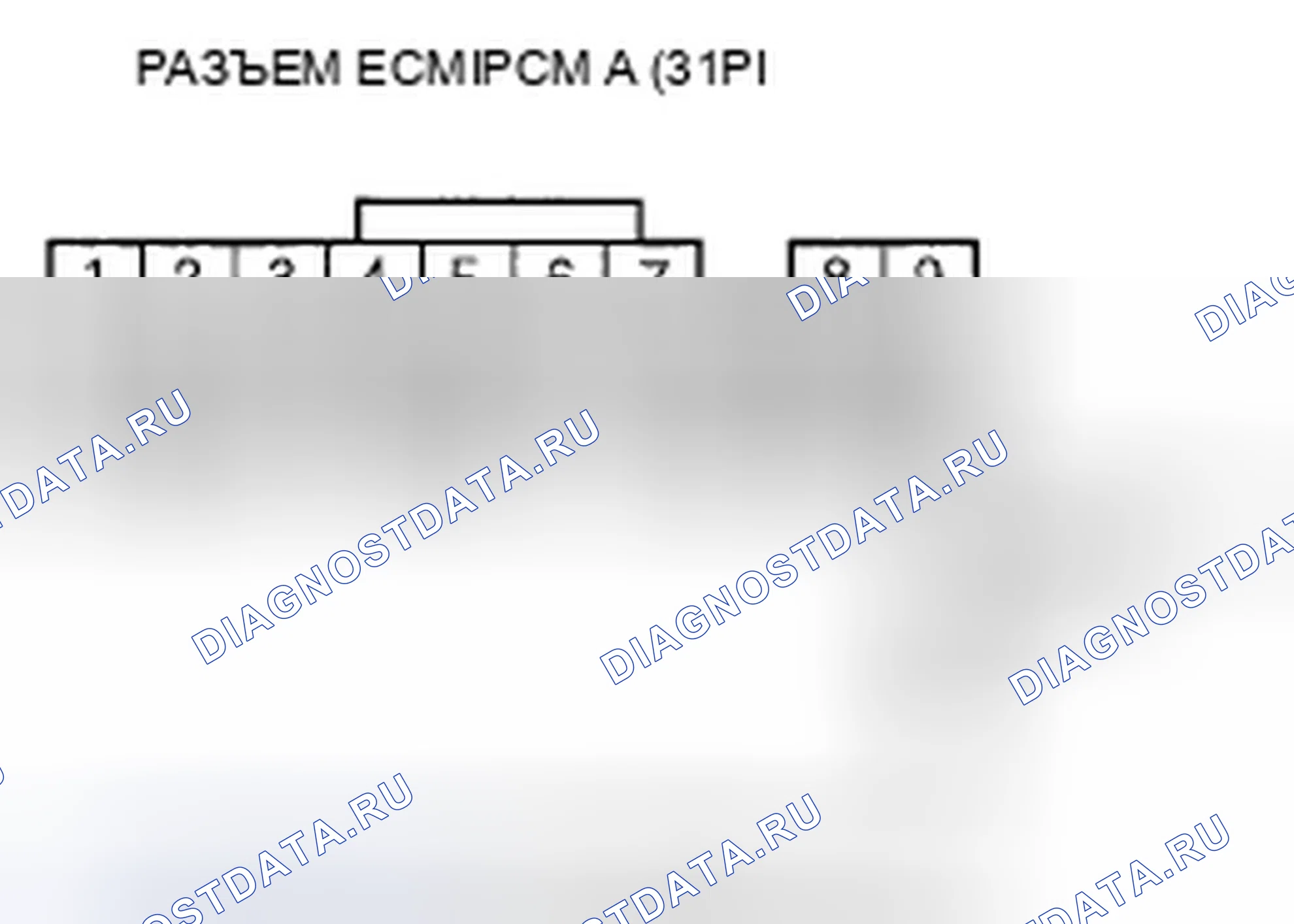 Рис. 459. Honda Element YH2 рестайлинг