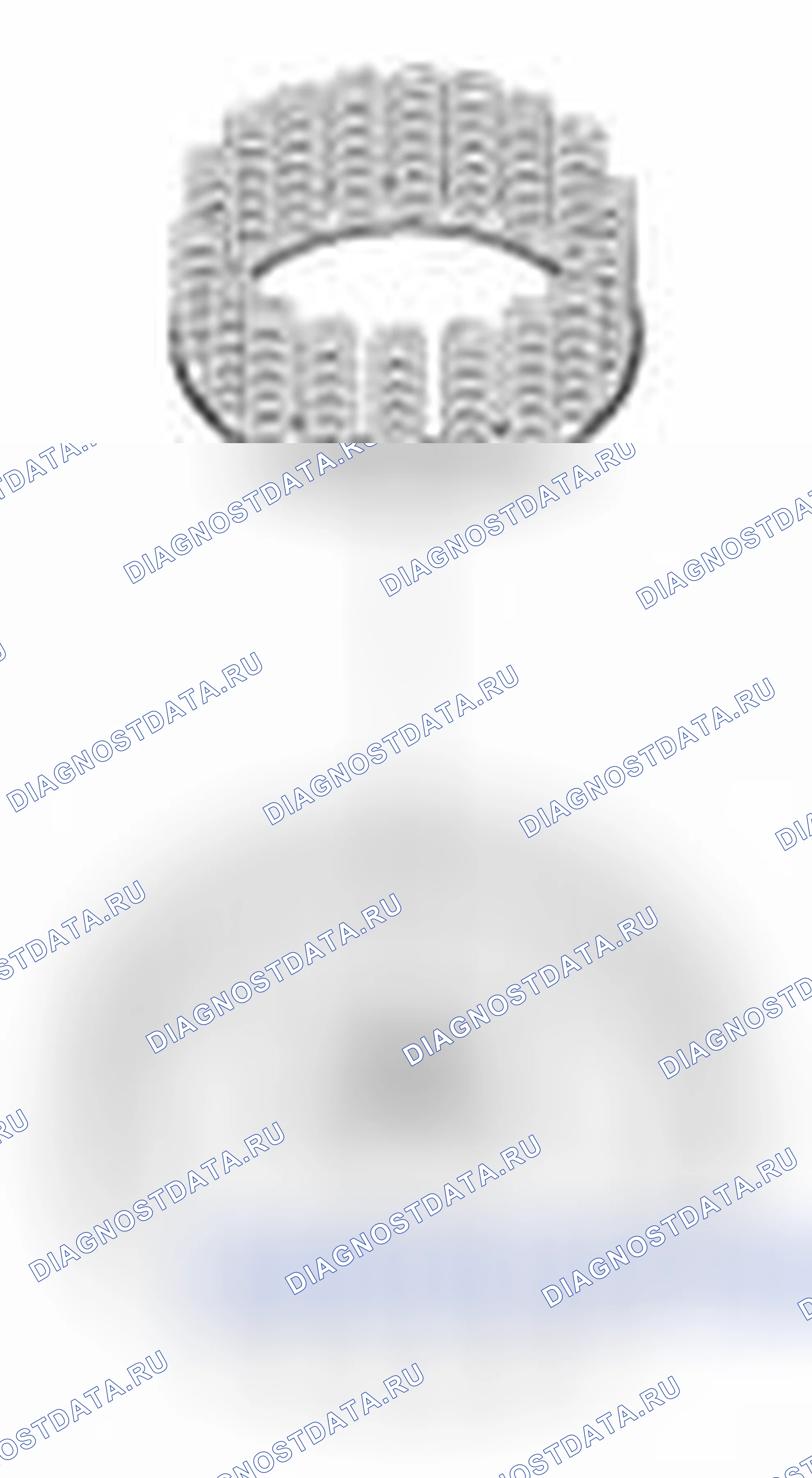Рис. 1257. Kia Forte I