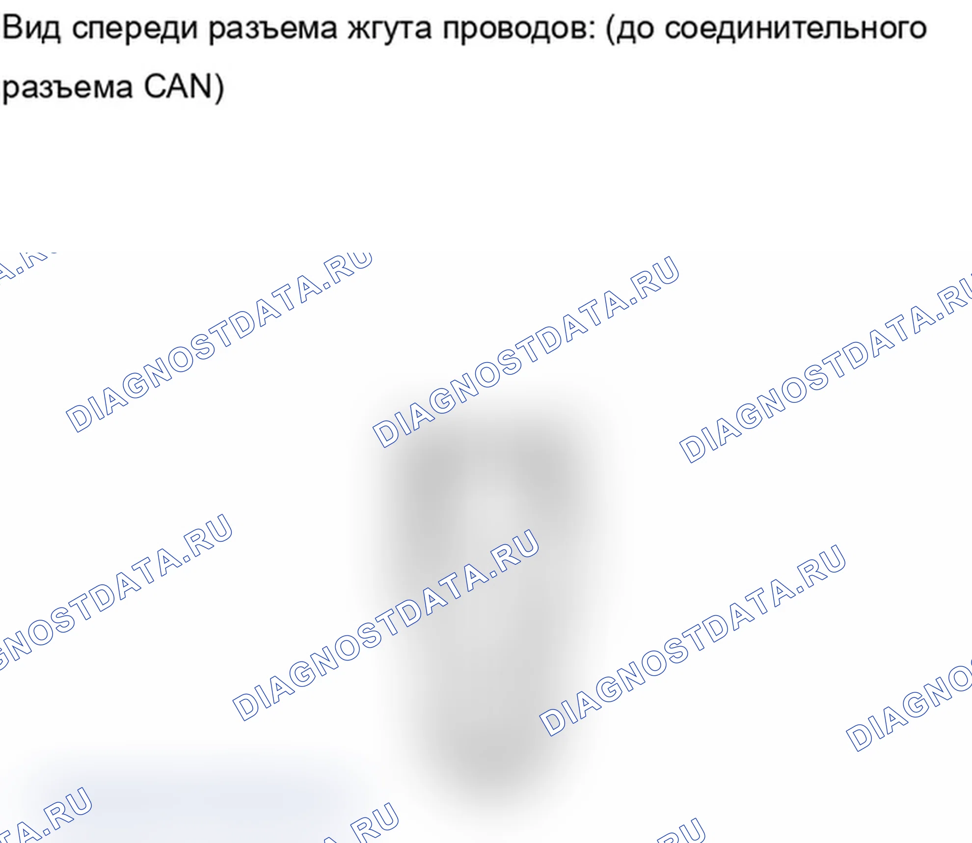 Рис. 54. Lexus IS F I