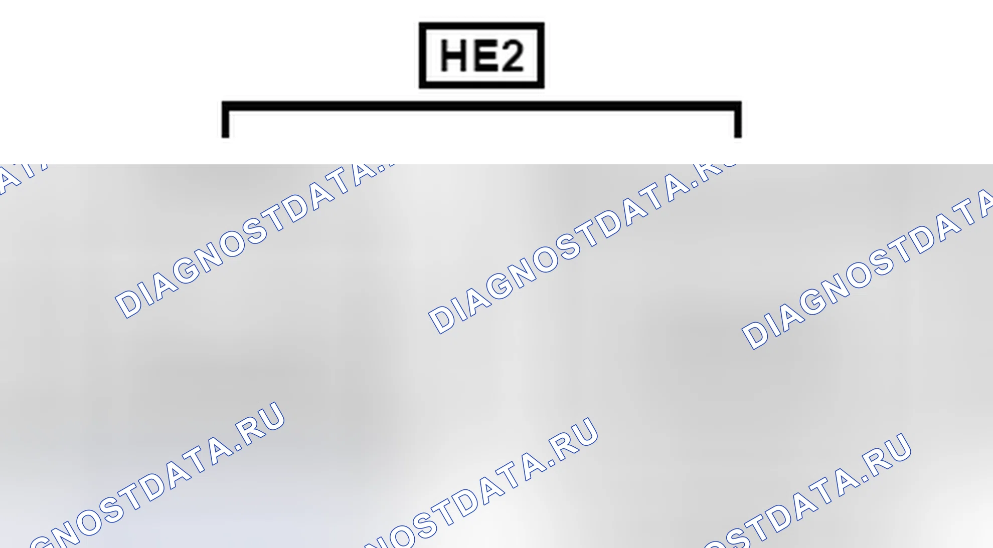 Рис. 1534: Вид с торца линейного соединителя (HE2). Toyota Camry XV40 рестайлинг