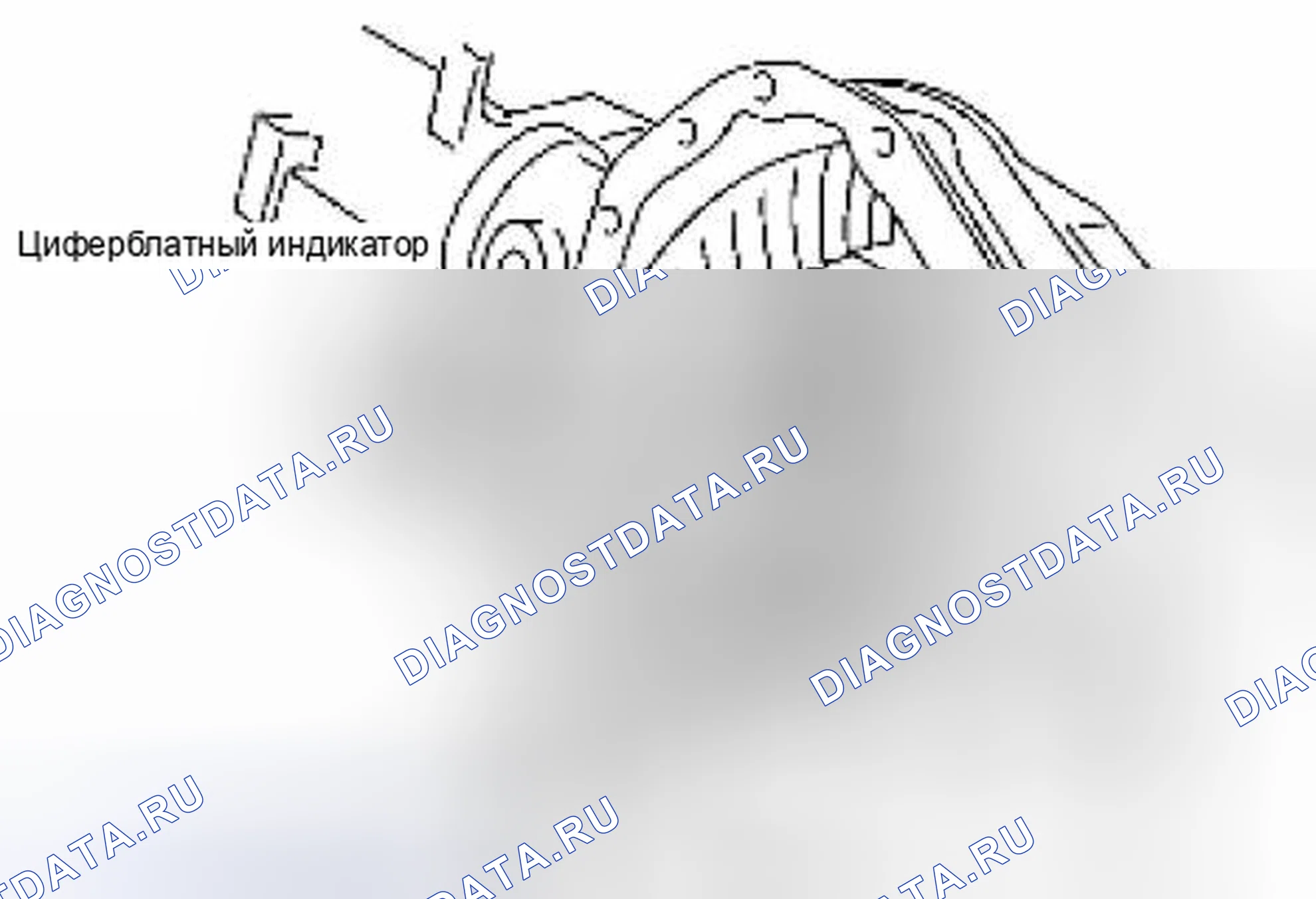 Рис. 344: Люфт. Suzuki Equator I