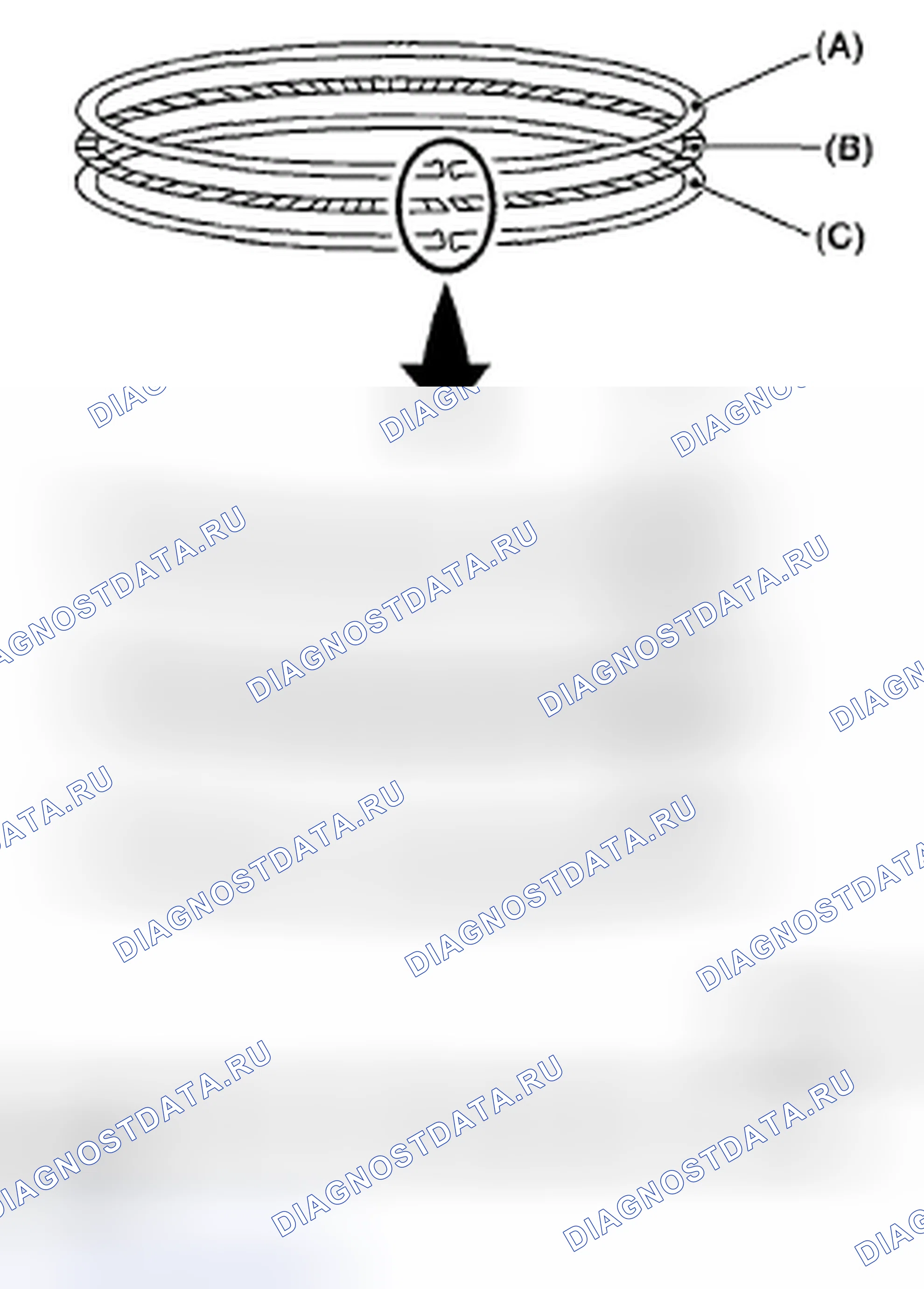 Рис. 446: ПОРШНЕВОЕ КОЛЬЦО. Subaru Outback BP рестайлинг