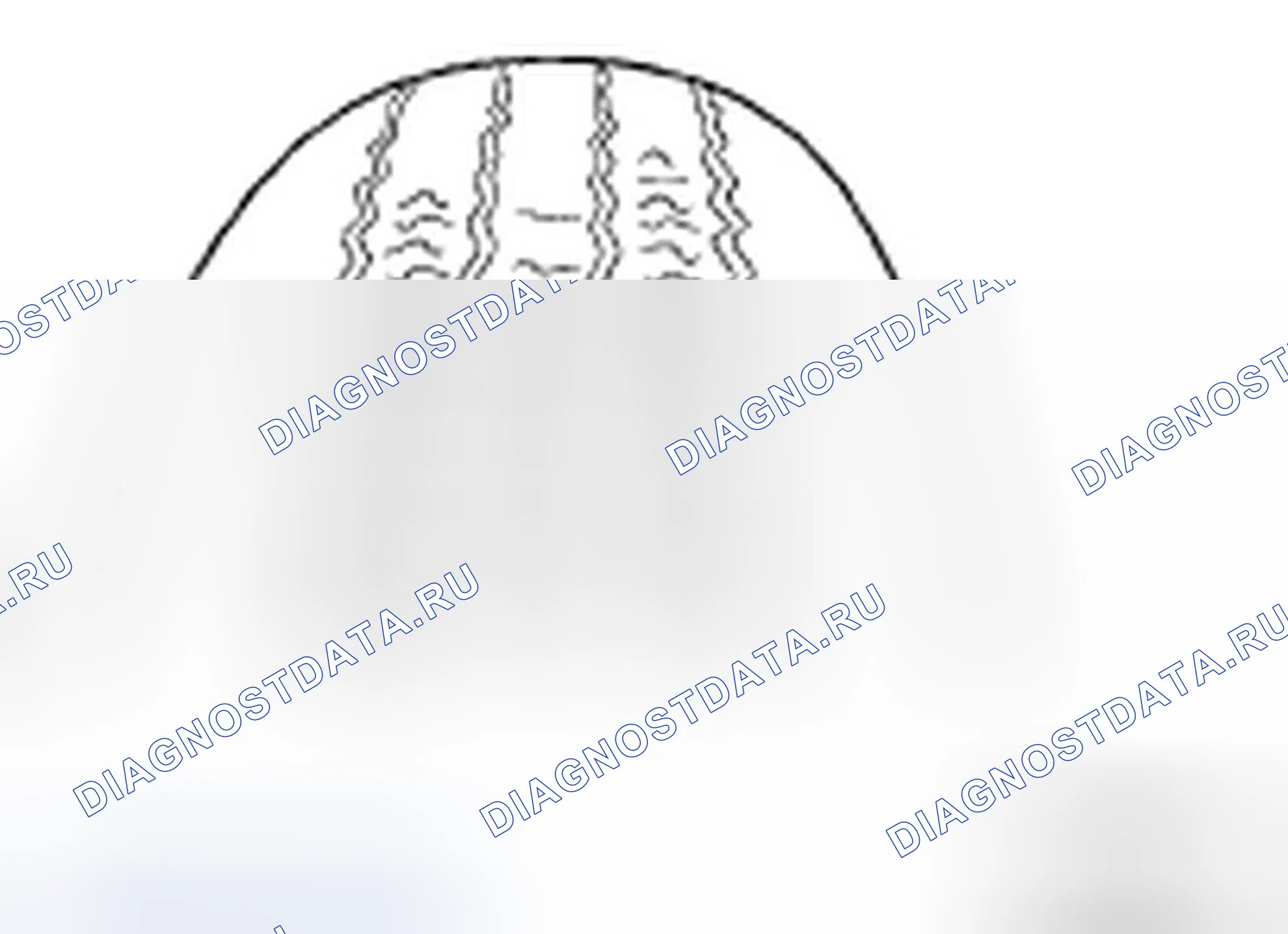 Рис. 2. Hyundai Azera I