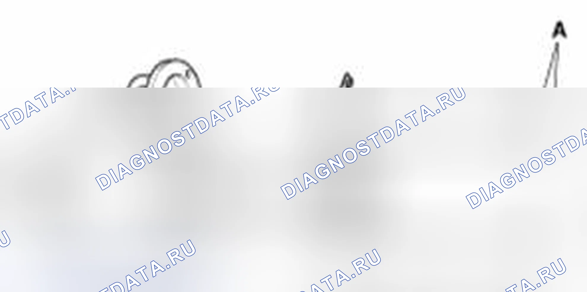 Рис. 10. Haval Beast (Shenshou) I