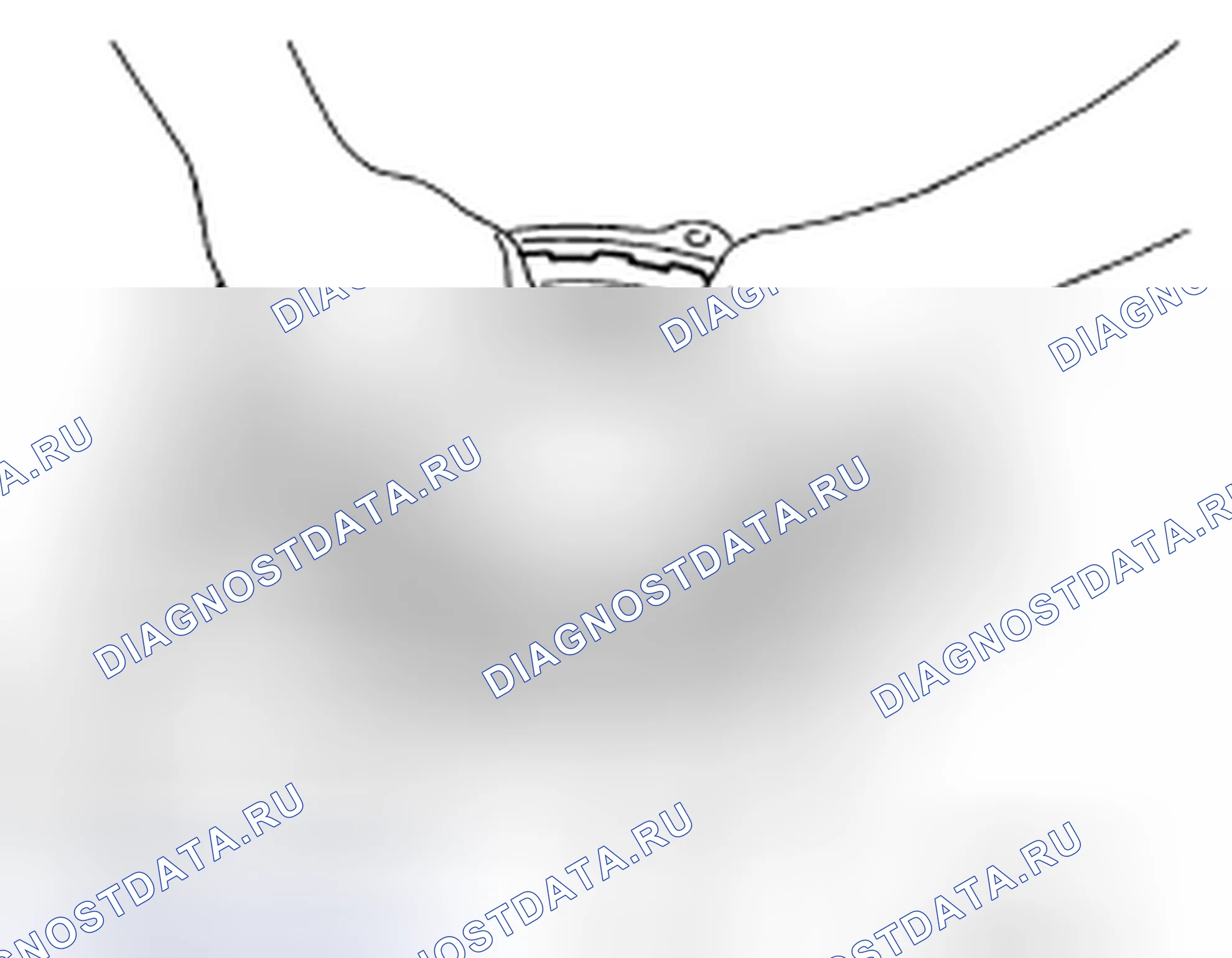 Рис. 262. Nissan 370Z I рестайлинг