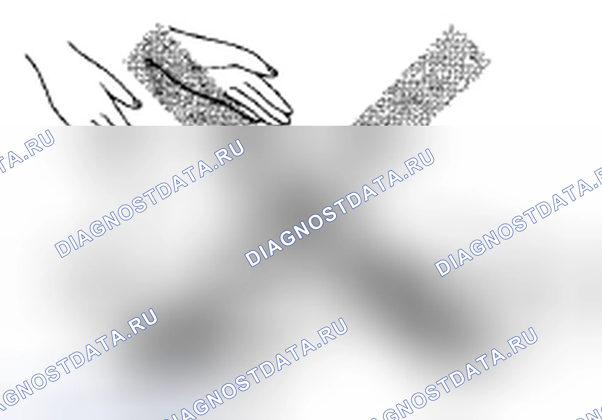 Рис. 286: Общие меры предосторожности. Honda Odyssey IV