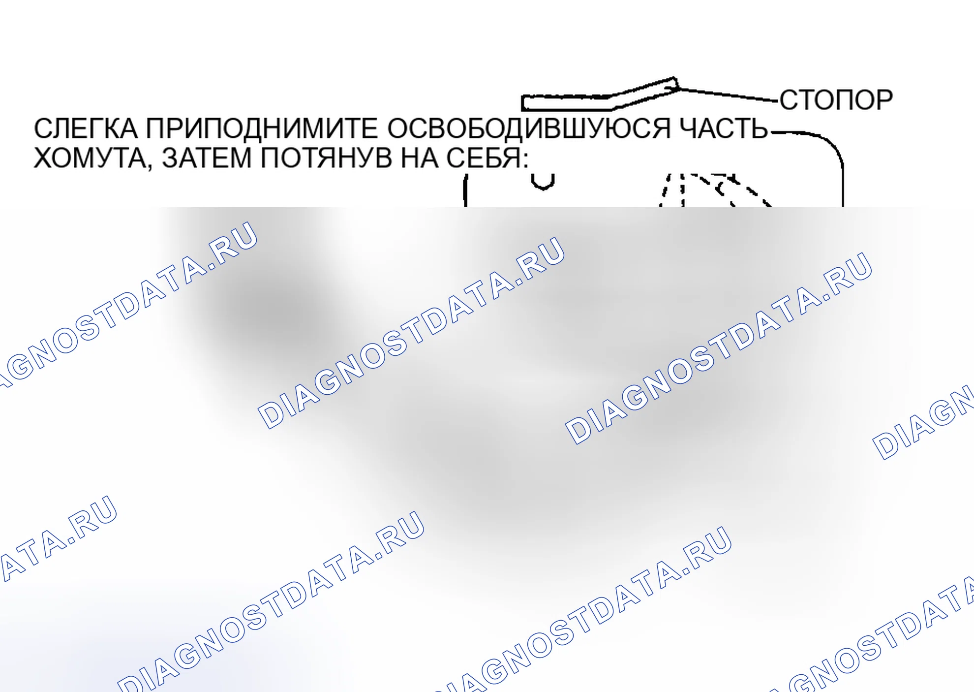 Рис. 14. Mazda RX-8 I