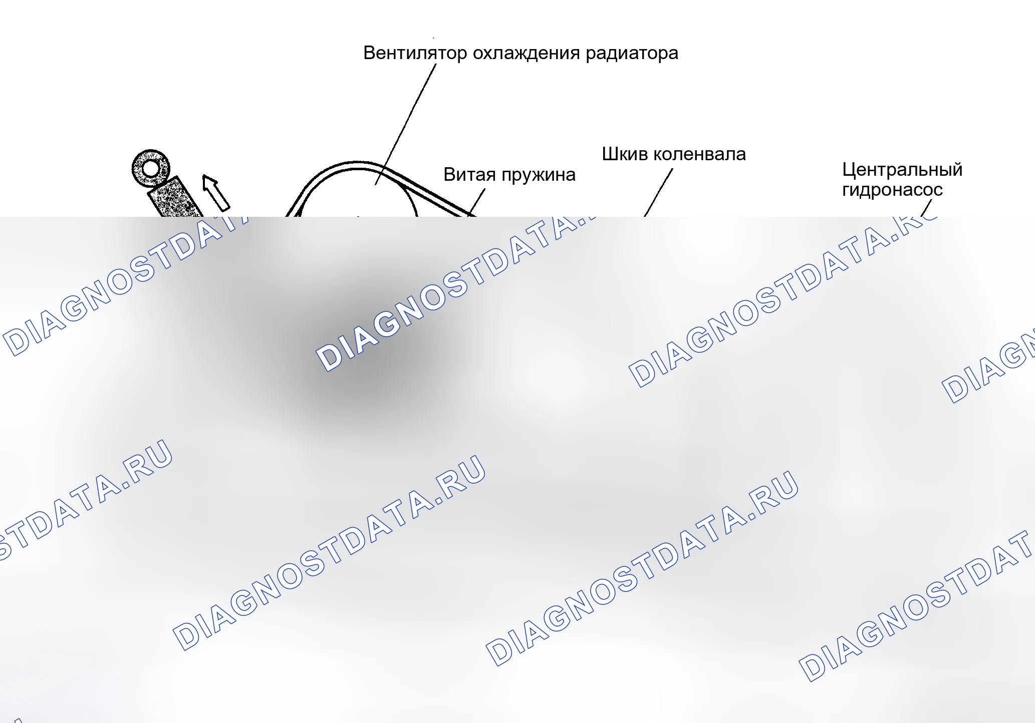 Рис. 5: ПРОКЛАДКА ПРИВОДНОГО РЕМНЯ. Audi V8 4C