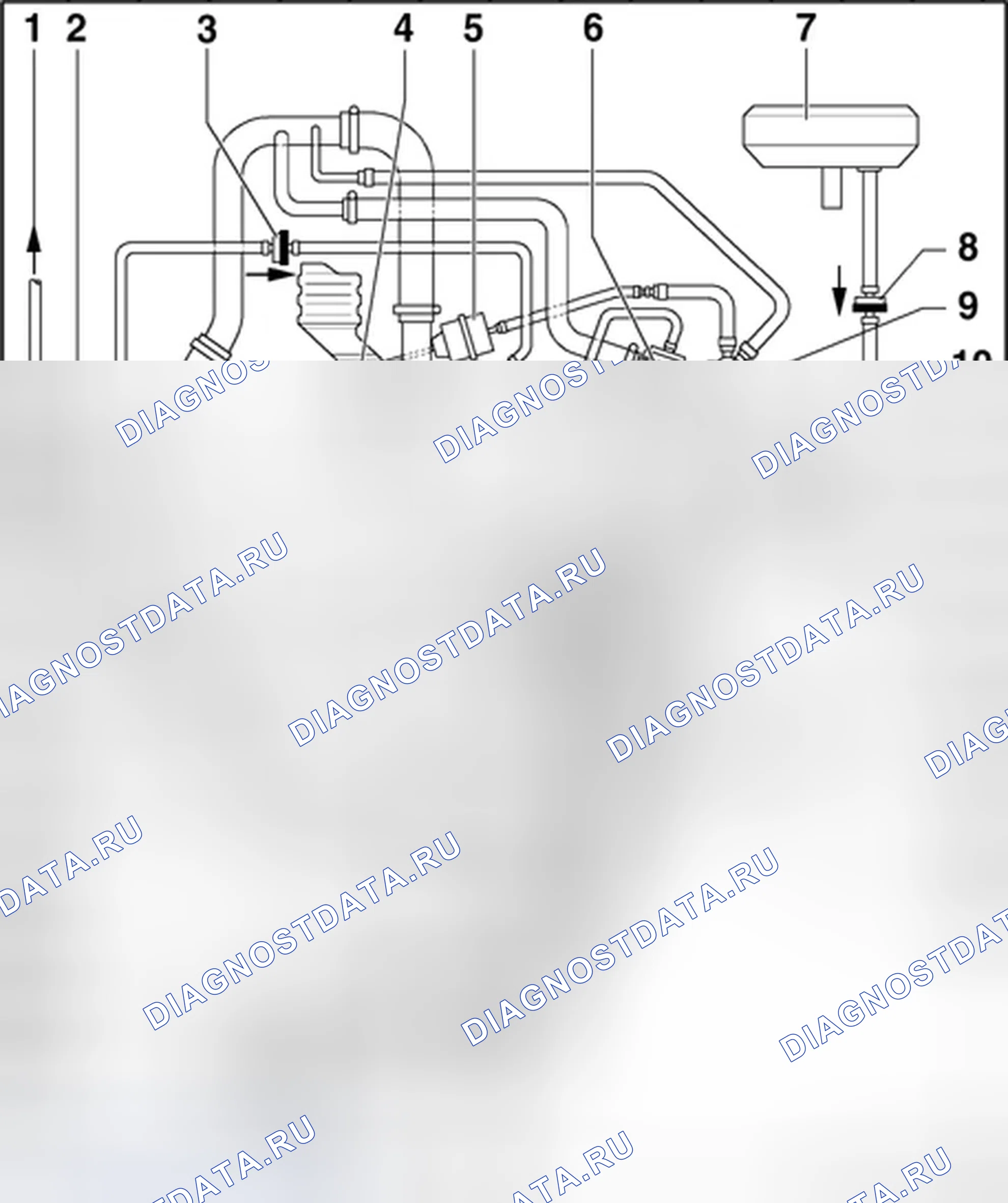 Рис. 246: СХЕМА ВАКУУМНЫХ ШЛАНГОВ. Audi TT 8N