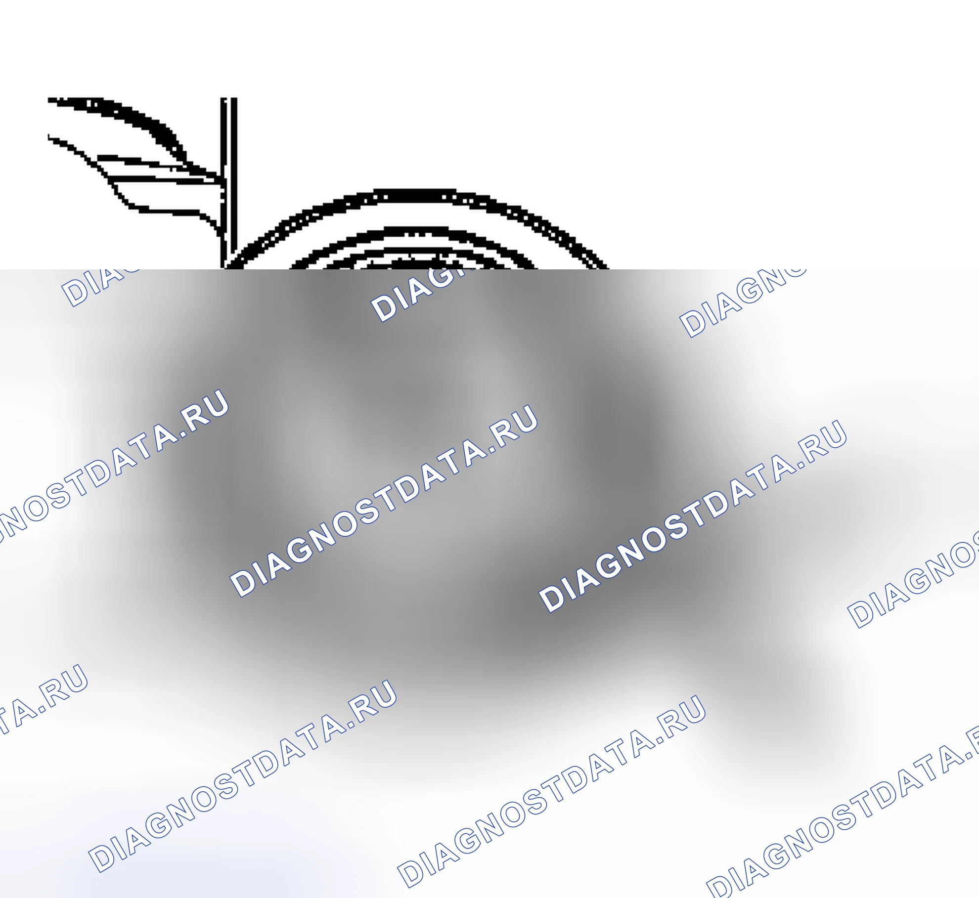 Рис. 40: Демонтаж. Porsche Boxster 986