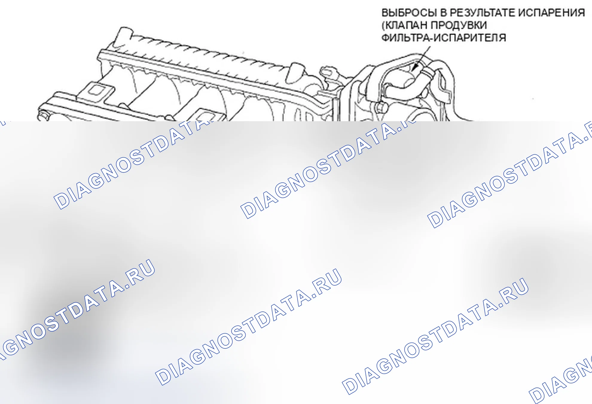Рис. 15: Трассировка вакуумного шланга. Honda Fit I