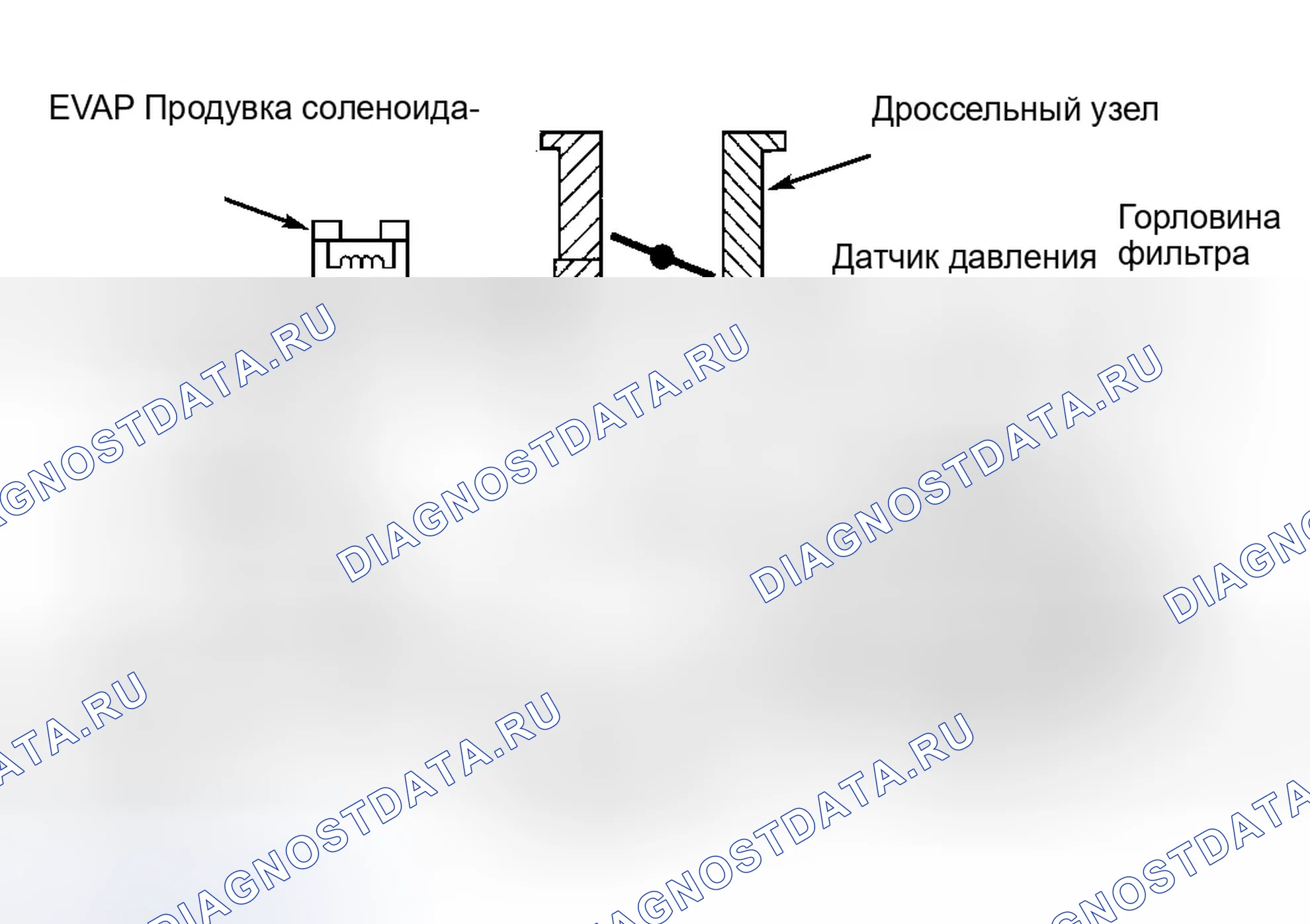 Рис. 2: СИСТЕМА ИСПАРИТЕЛЬНЫХ ВЫБРОСОВ. Isuzu Trooper II