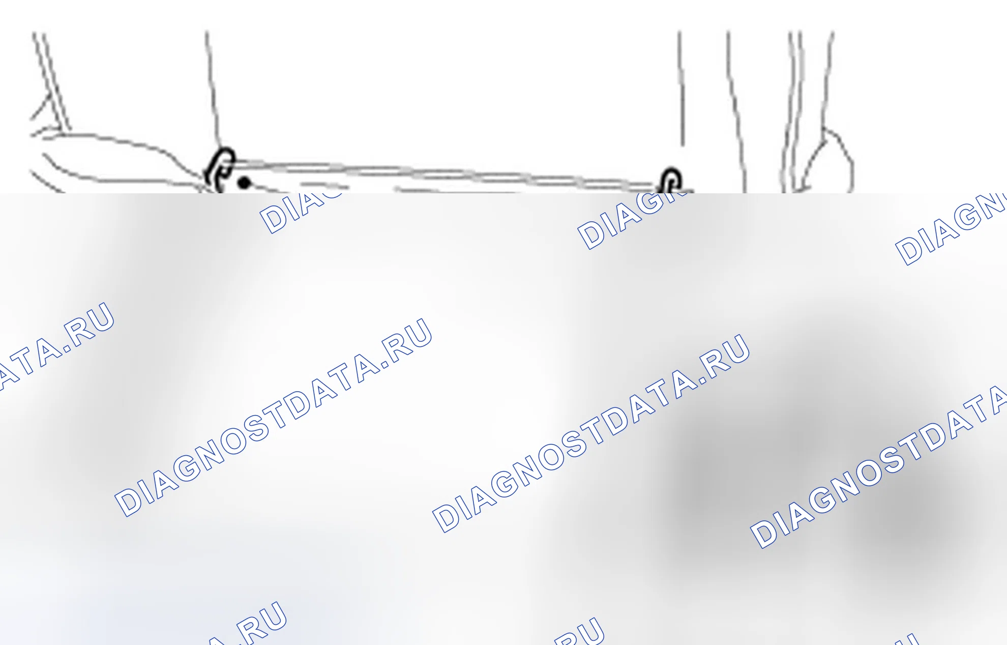 Рис. 24. Ford Focus II
