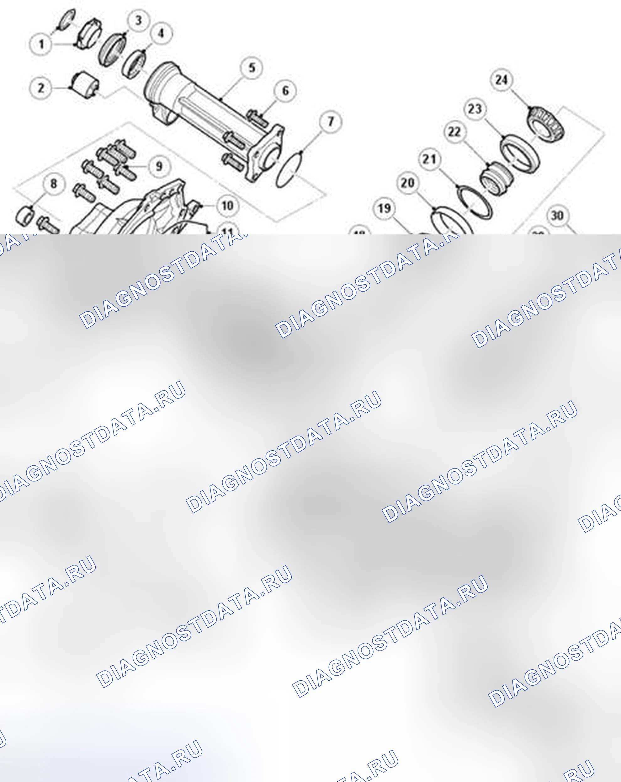 Рис. 31: Передний дифференциал - разнесенный вид. Land Rover Range Rover Sport I