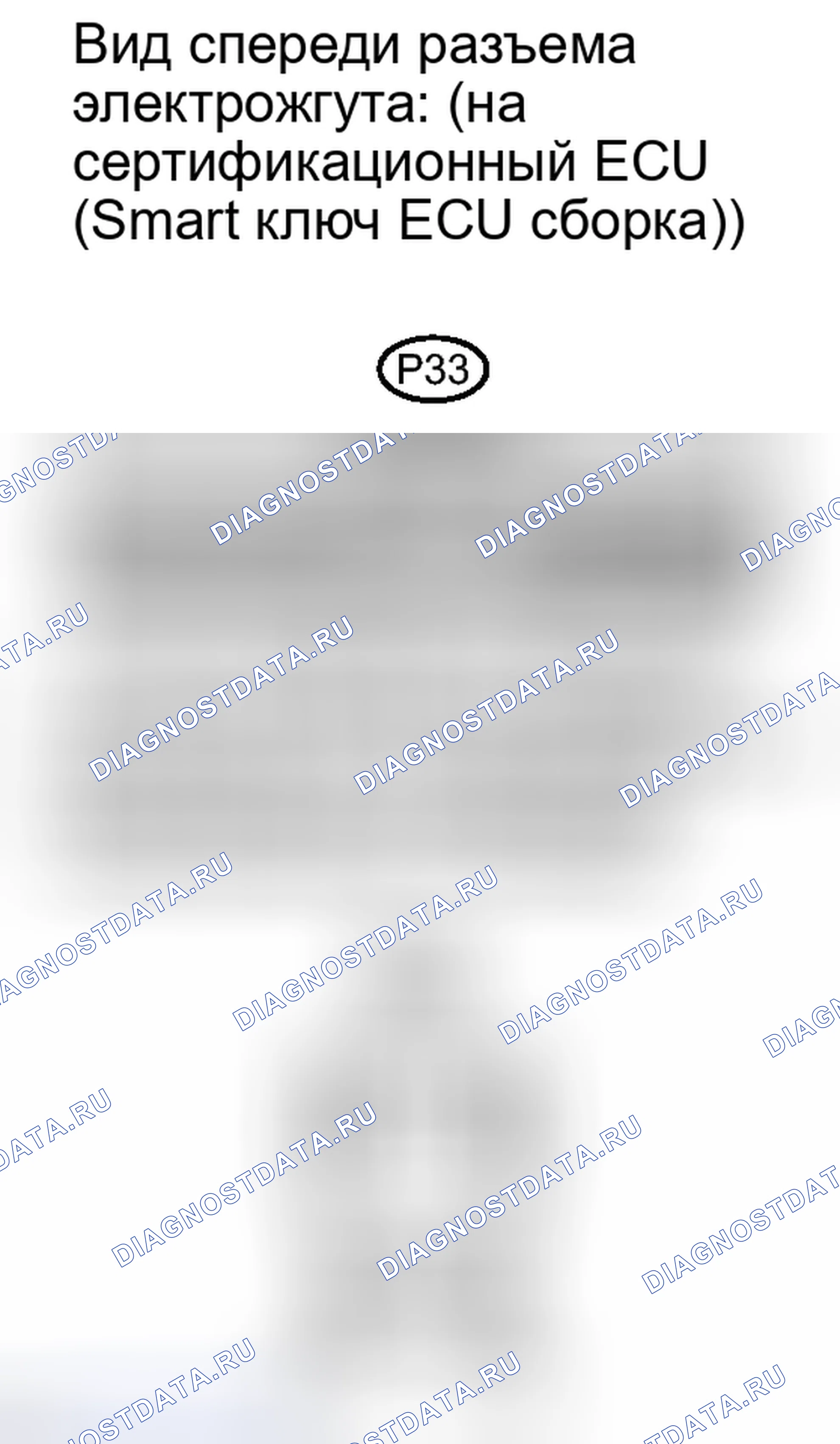 Рис. 274. Lexus IS F I