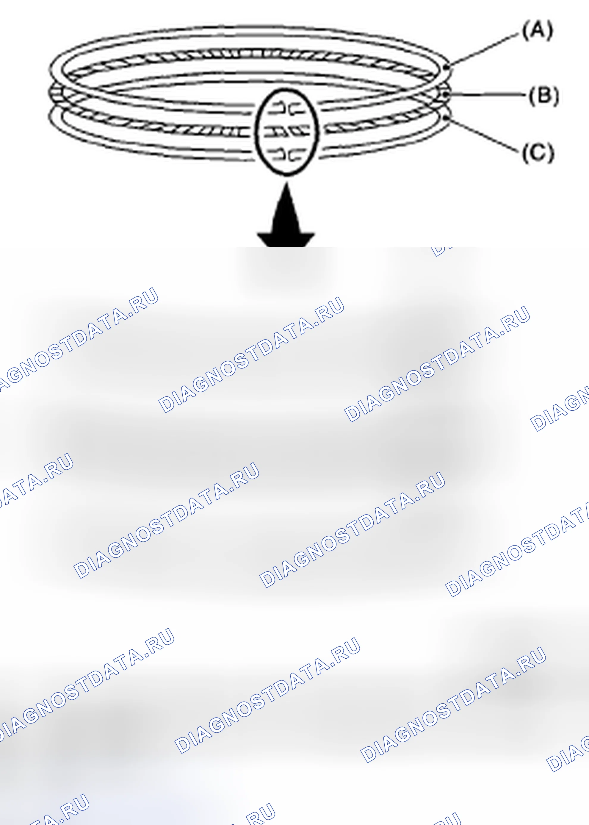 Рис. 231: ПОРШНЕВОЕ КОЛЬЦО. Subaru Outback BP рестайлинг