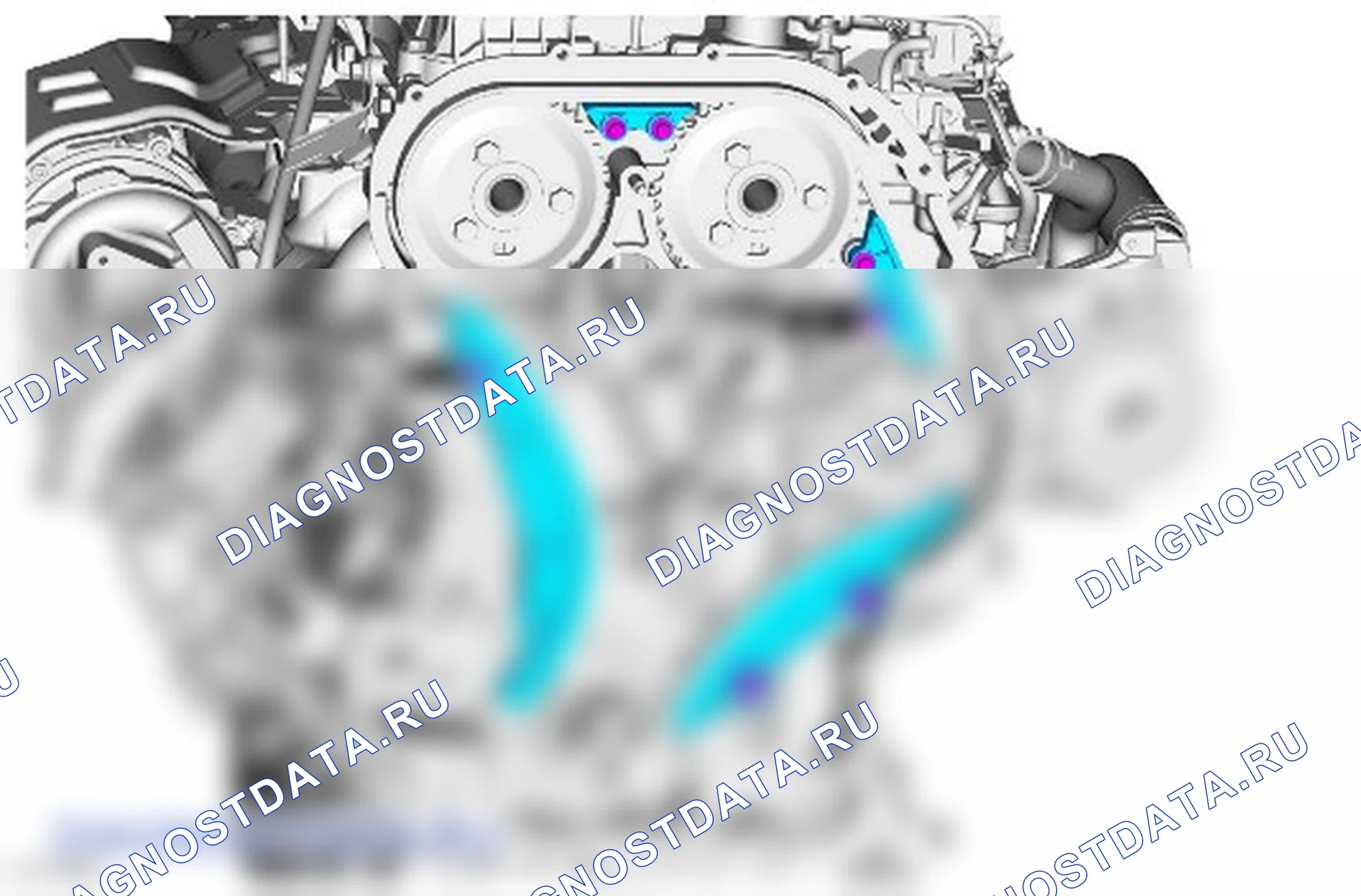 цепь ГРМ: описание и работа. Ford Ranger T6