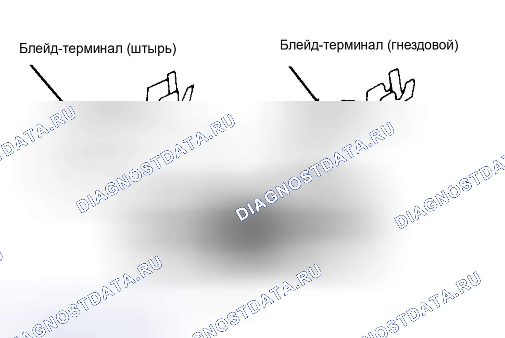 Рис. 49. Dodge Dakota WS 