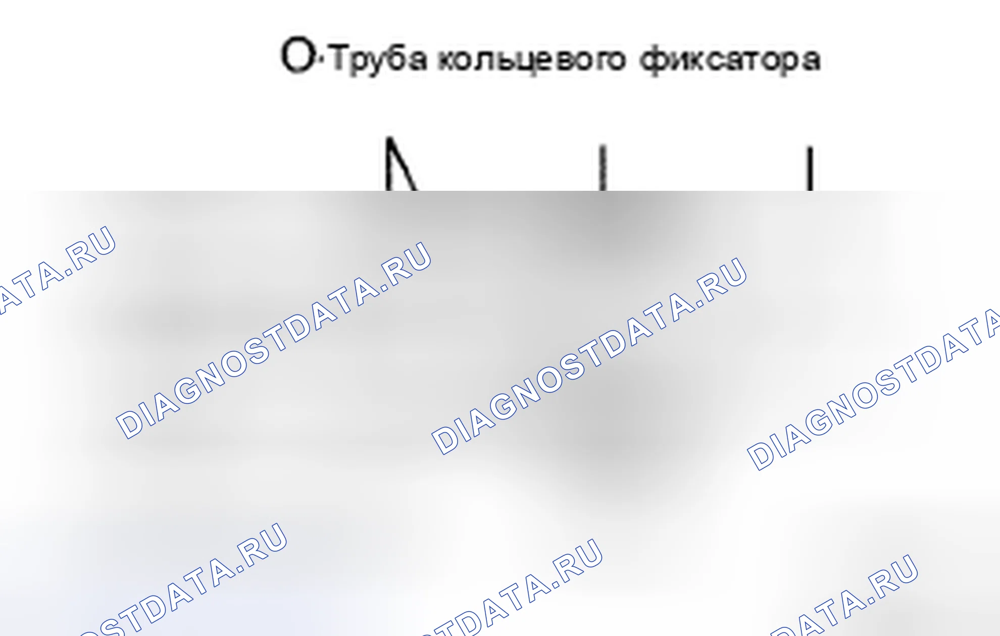 Рис. 191. Toyota Camry XV40