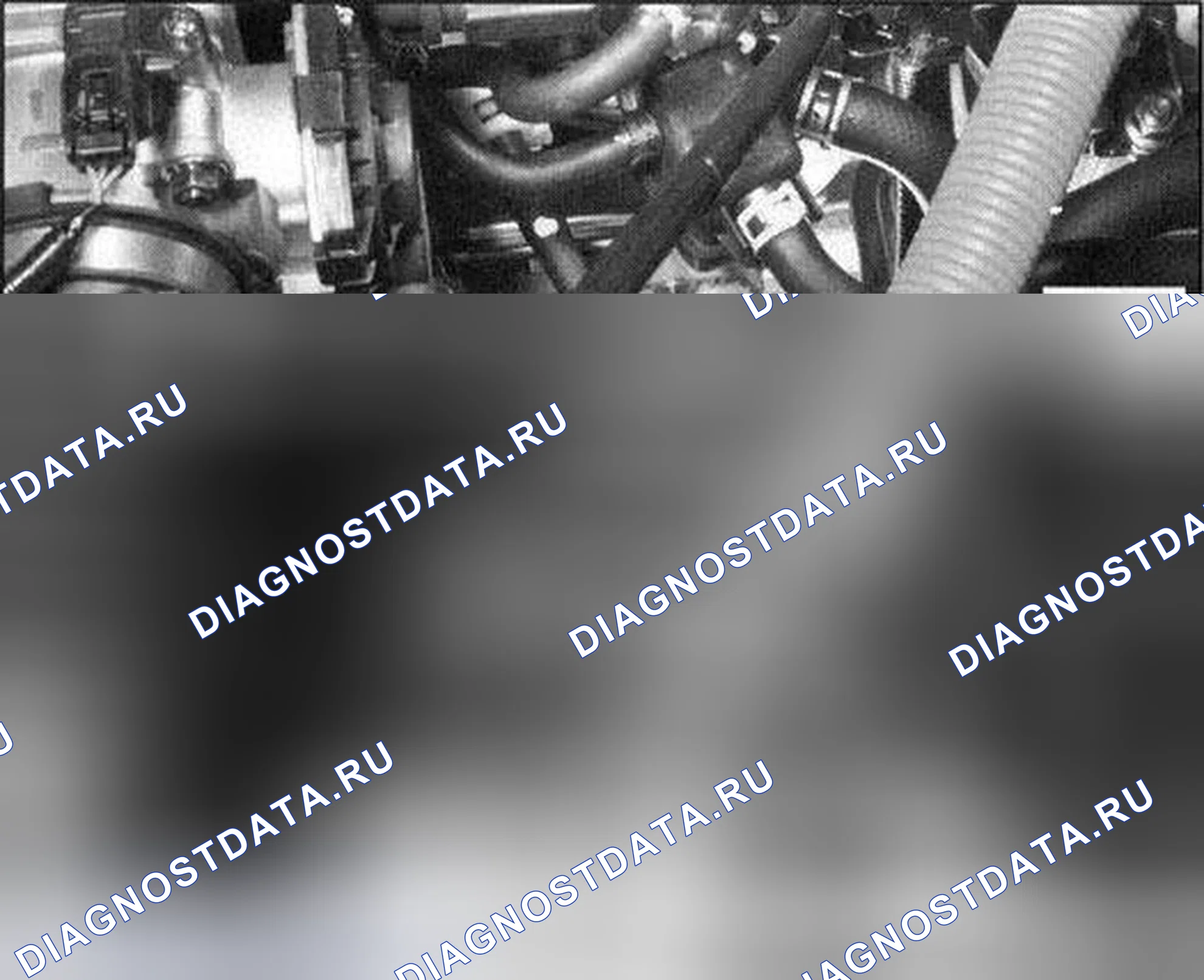 Рис. 21. Honda Accord VII рестайлинг