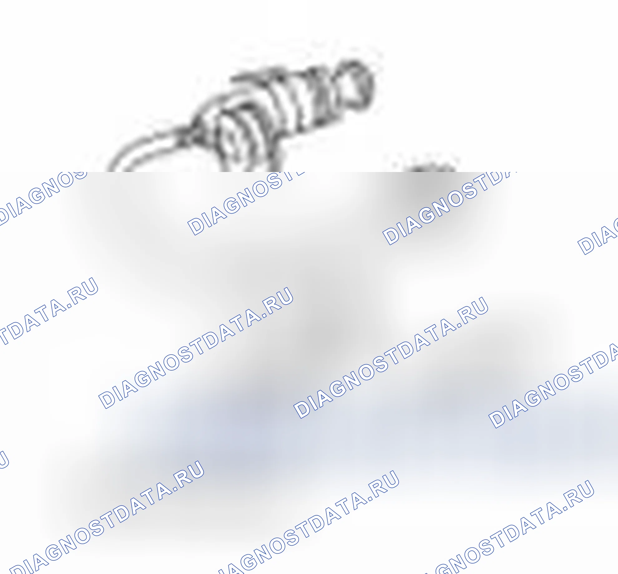Рис. 4. Ford Fiesta Mk6