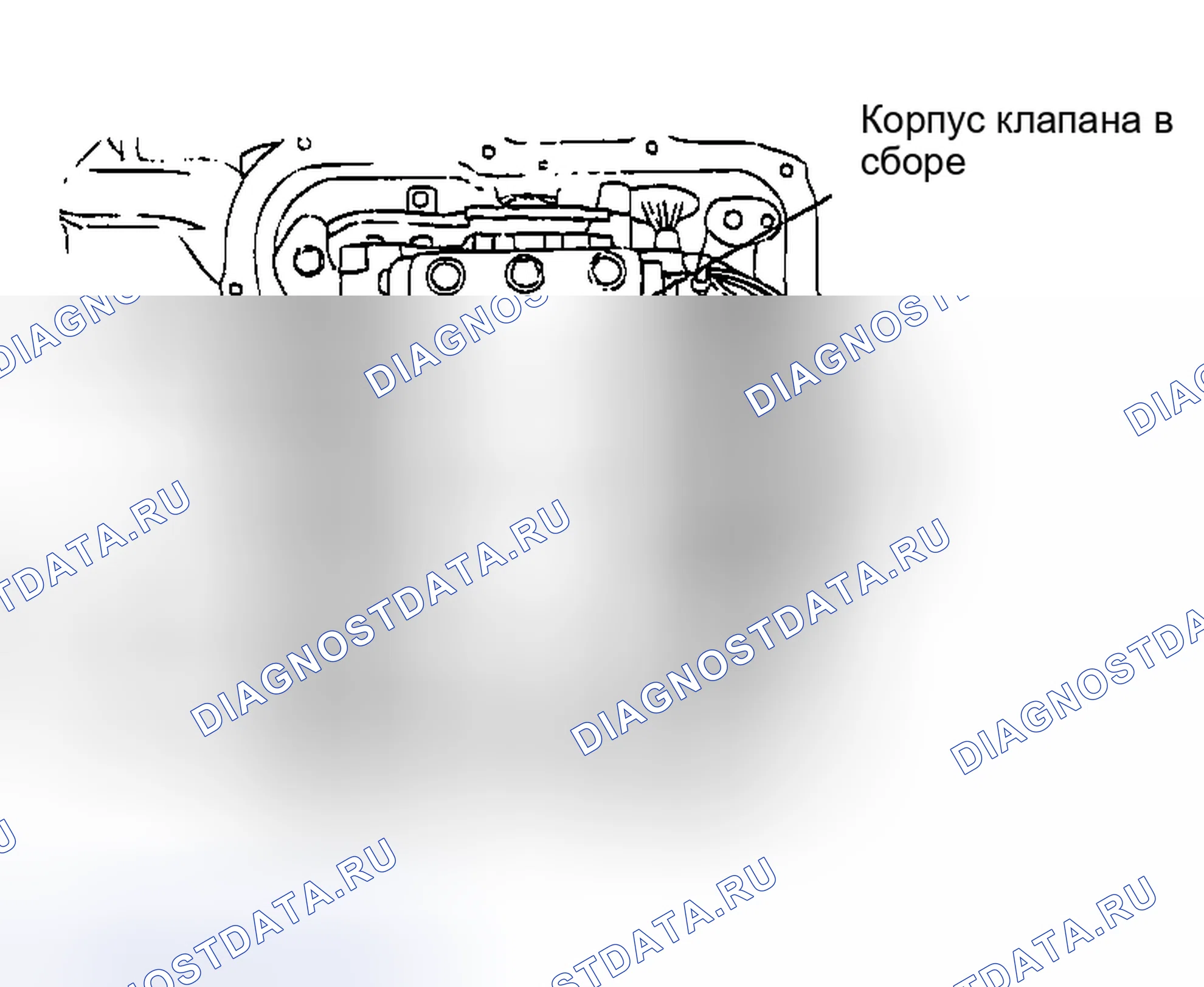 Рис. 1291. Mazda MX-5 NA