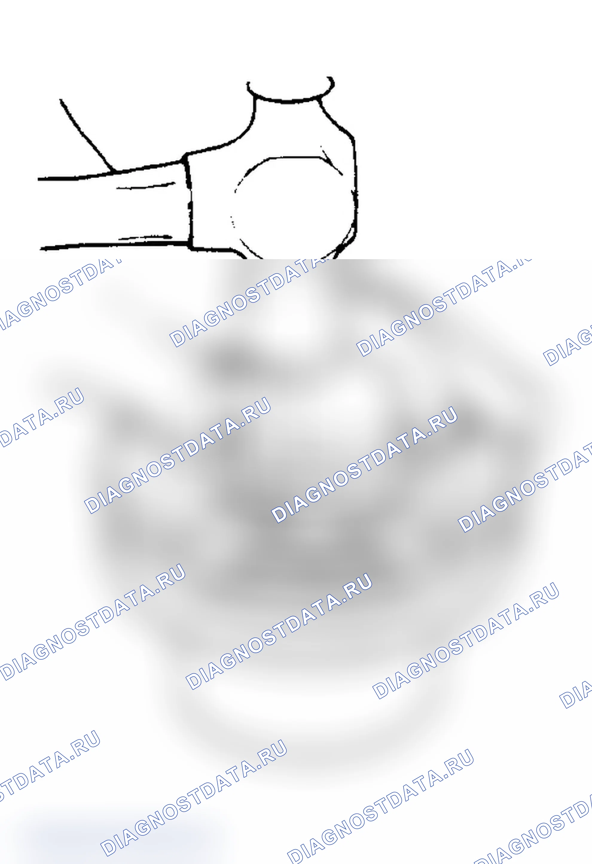 Рис. 99: Подшипник стойки - Инструмент № 17-Support Блок, № 19-Staking Инструмент. Chevrolet El Camino V