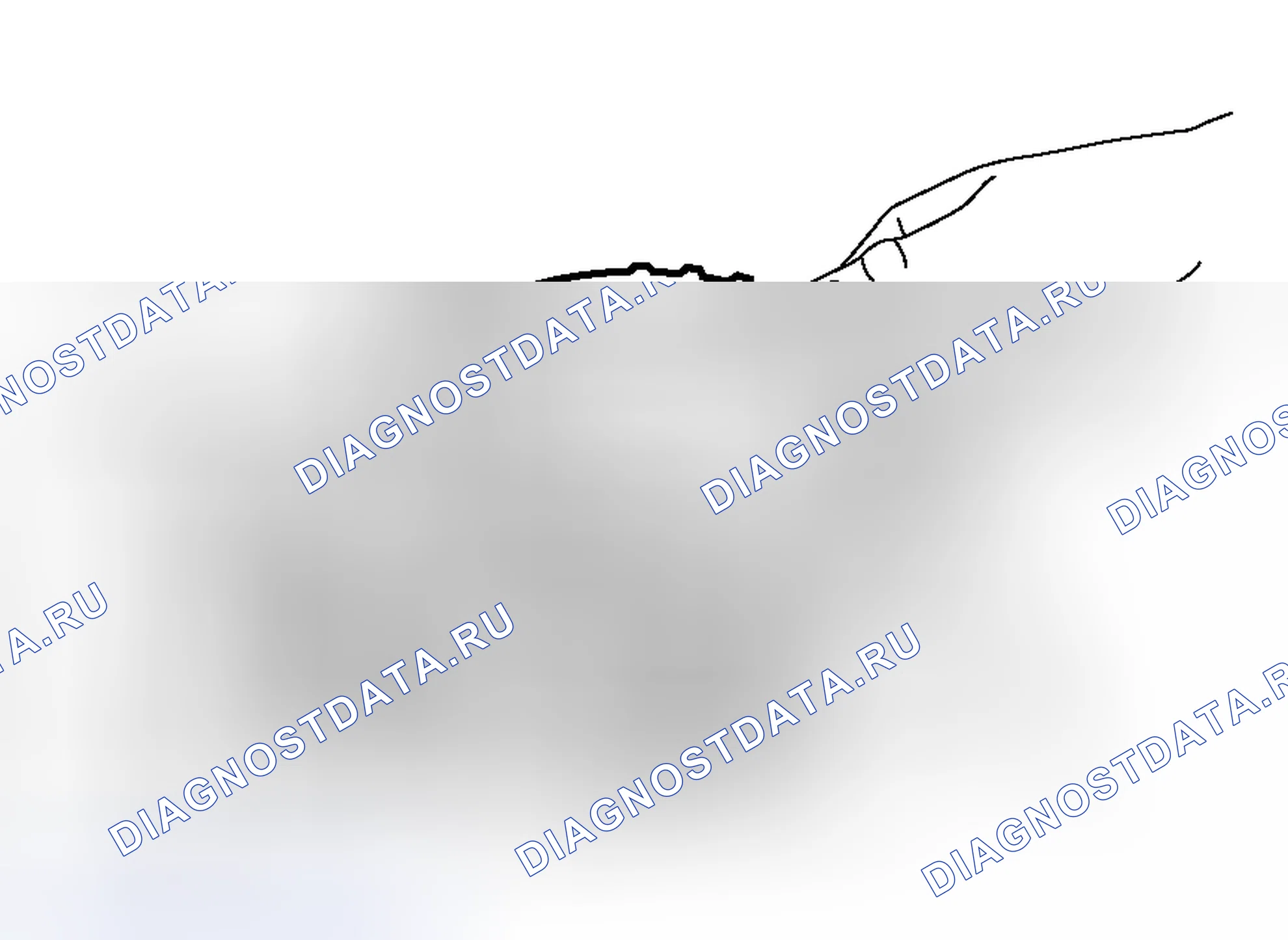 Рис. 464. Honda Envix I