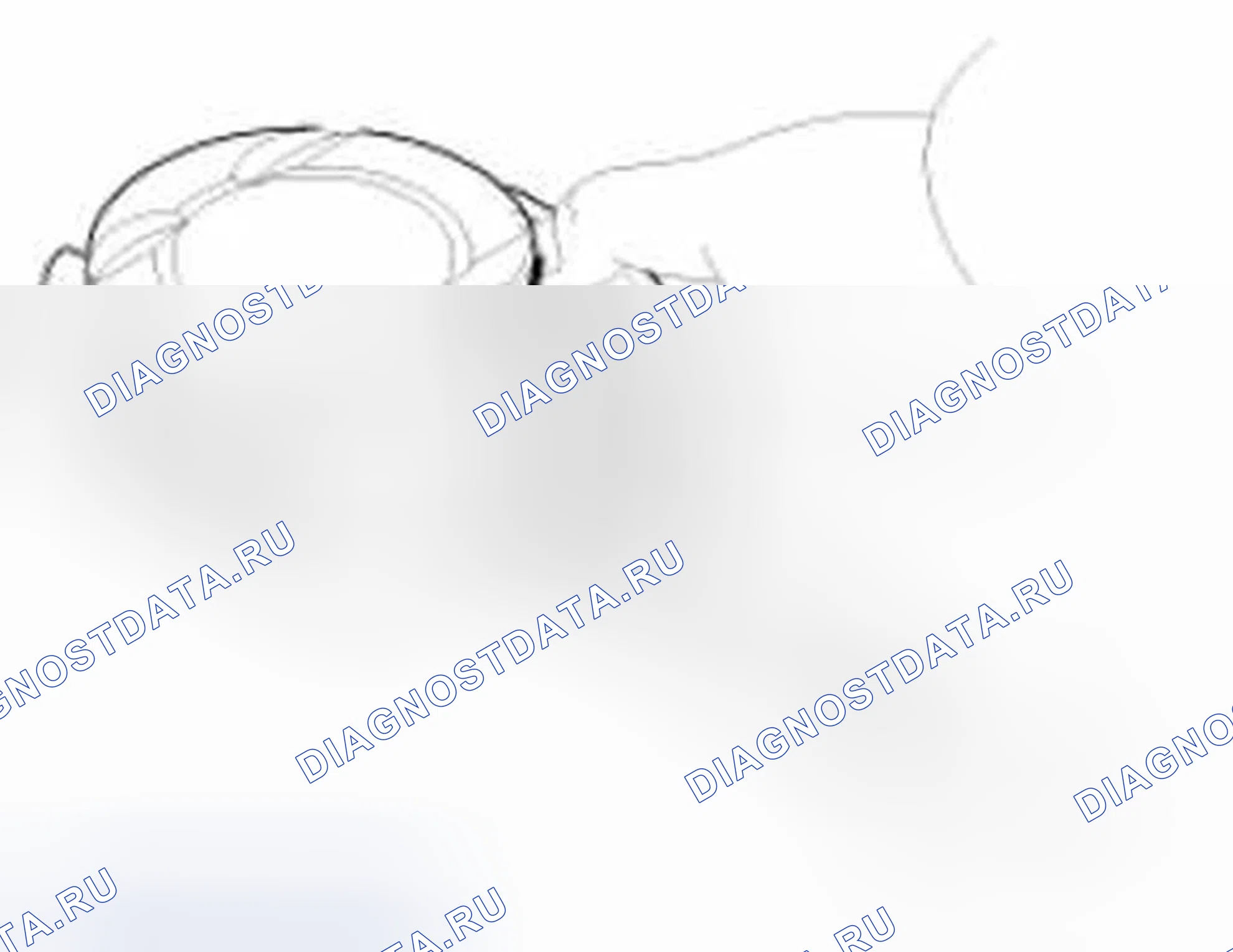Рис. 346: Поршень и кольца. Hyundai Equus II