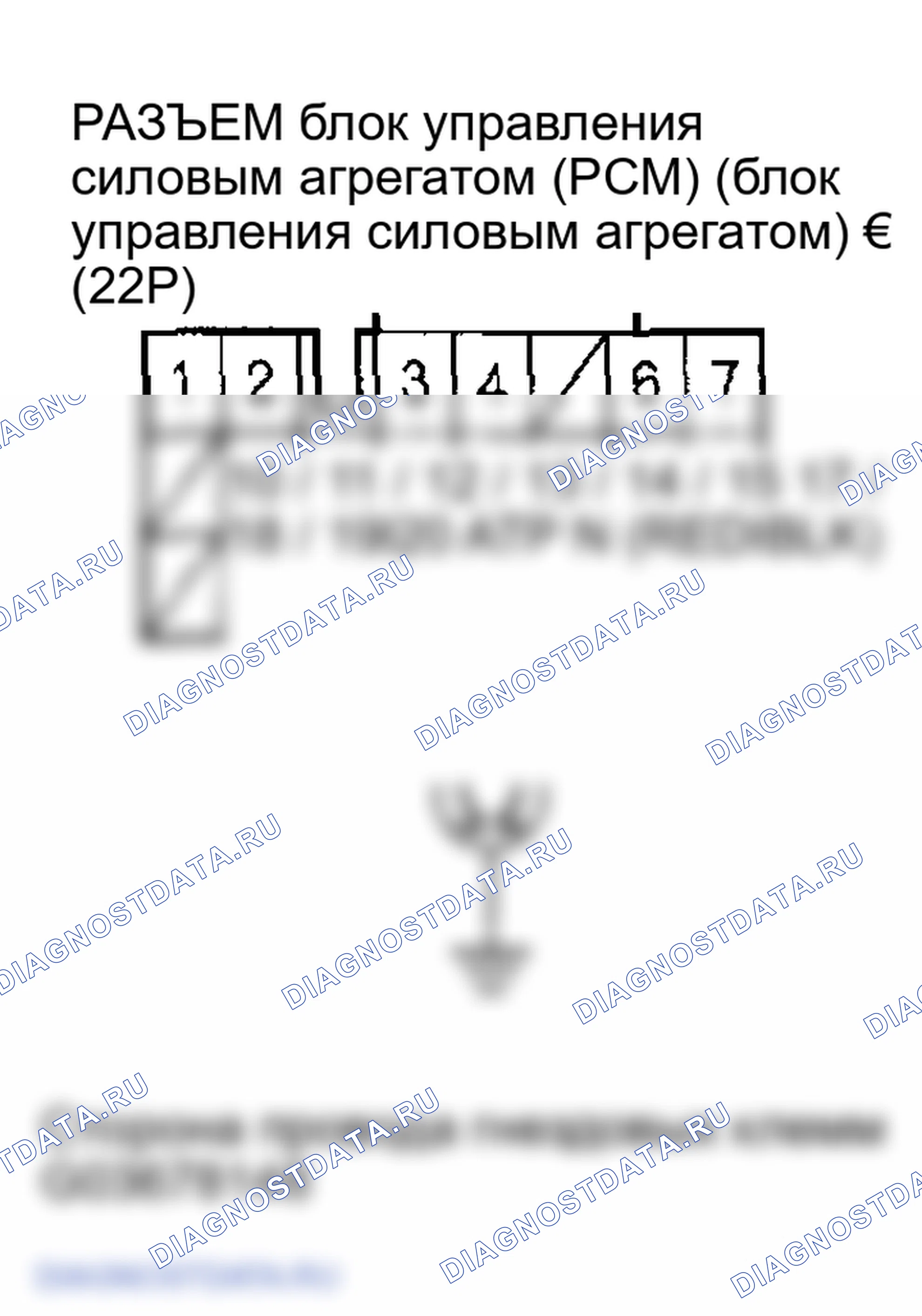 Рис. 529. Honda Element YH2