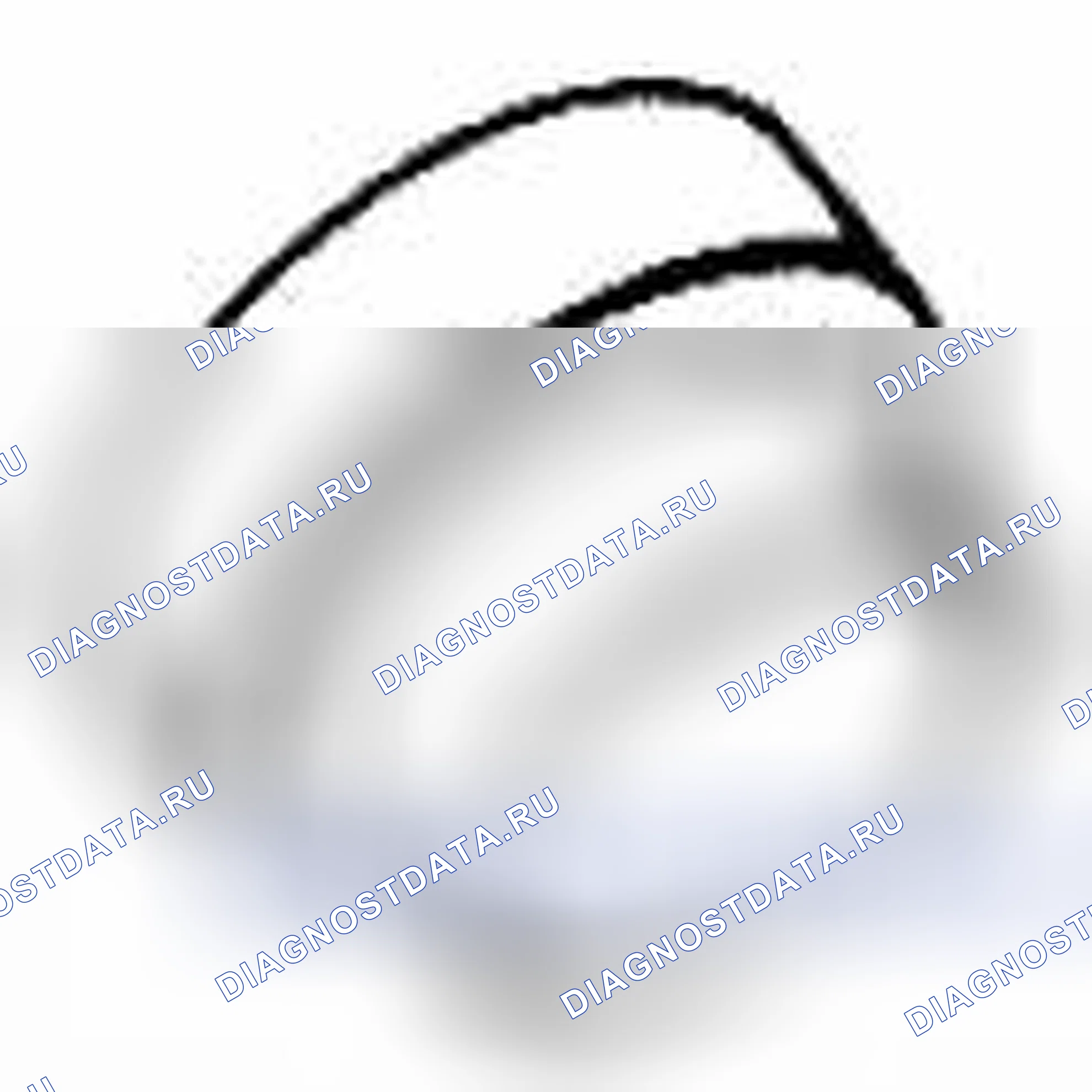 Рис. 161. Suzuki Grand Vitara II рестайлинг 2