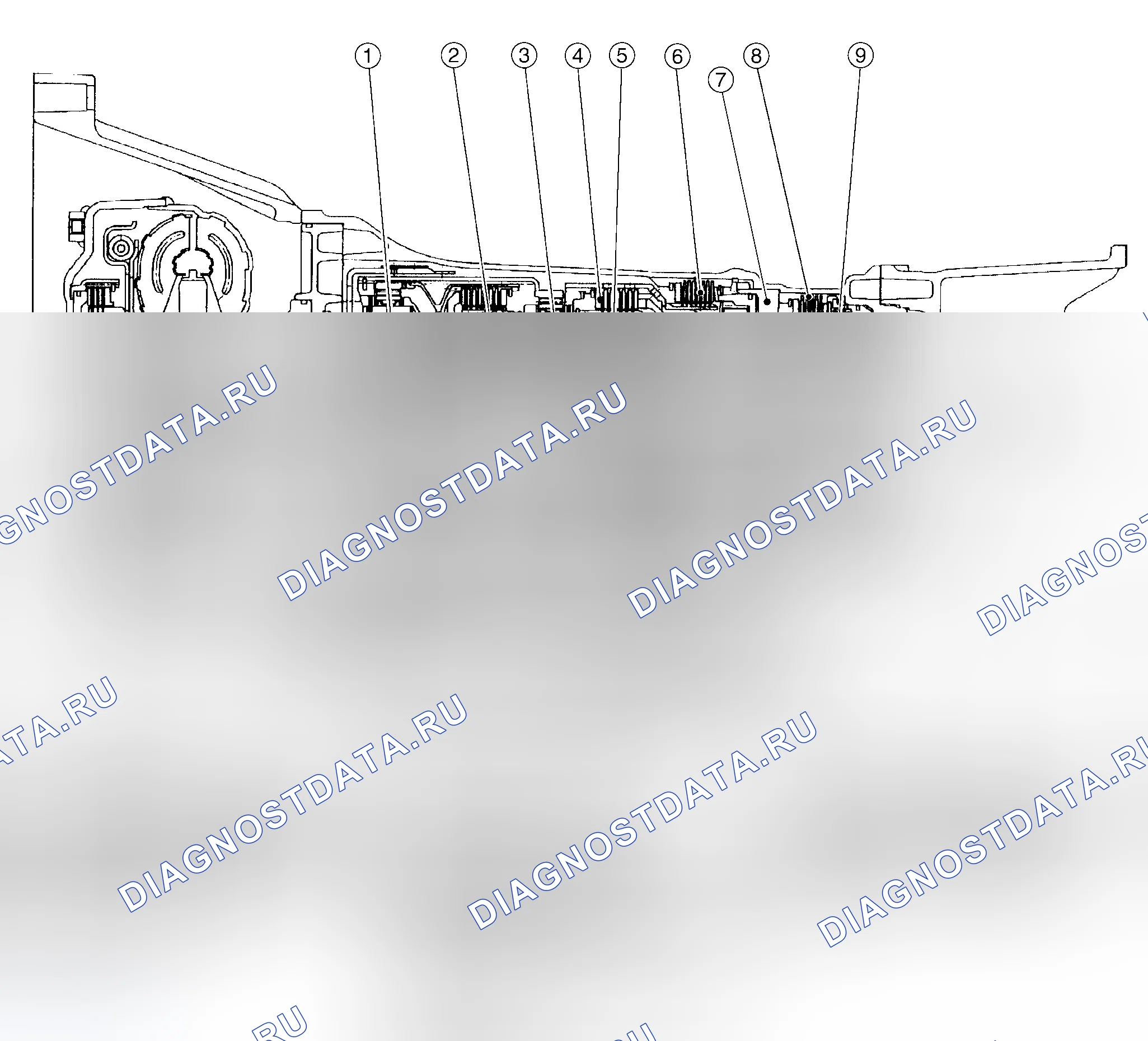Рис. 69: Поперечное сечение (модели 4WD). Infiniti QX56 I
