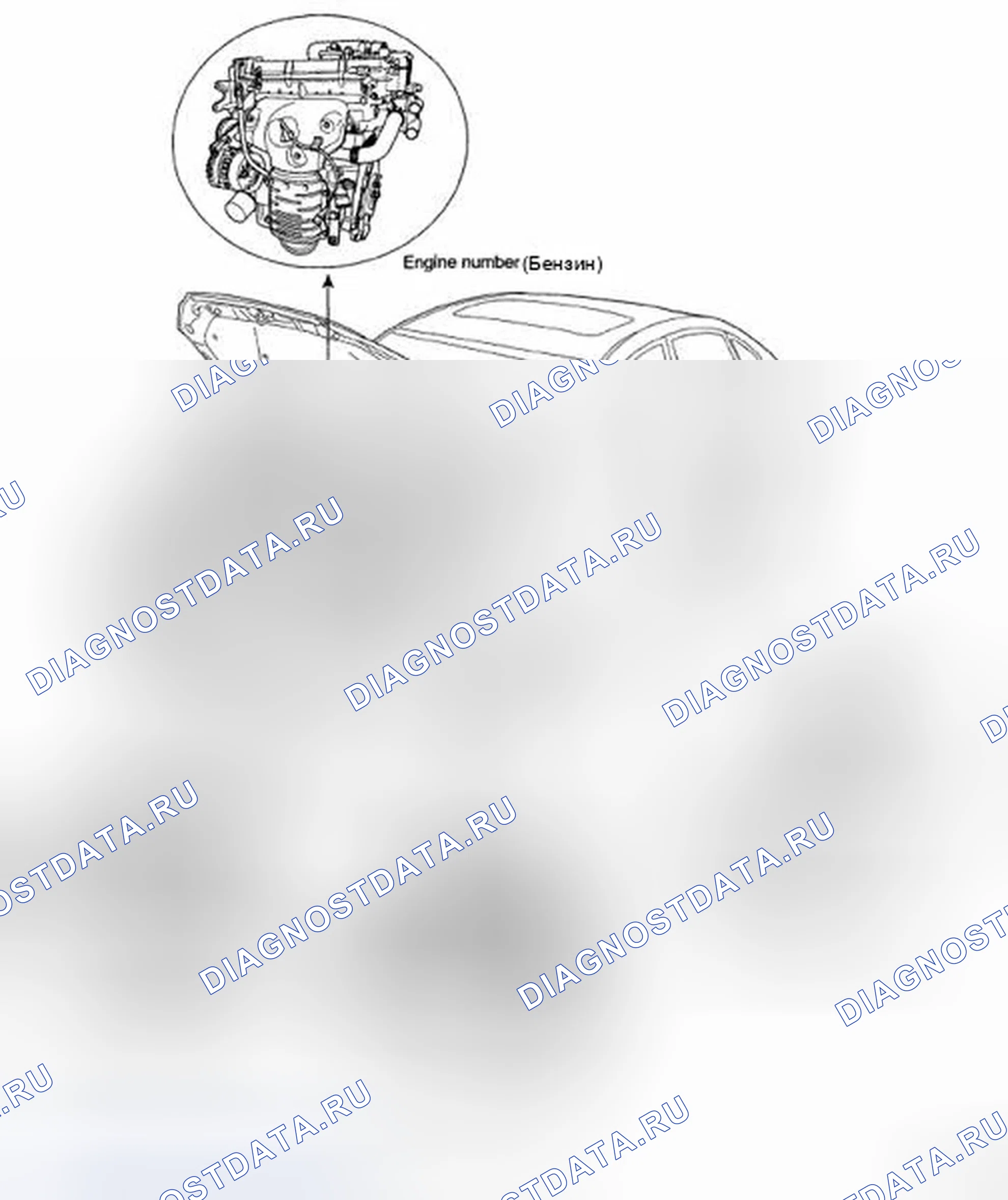 Рис. 3: РАСПОЛОЖЕНИЕ ИДЕНТИФИКАЦИОННЫХ НОМЕРОВ. Hyundai Elantra IV