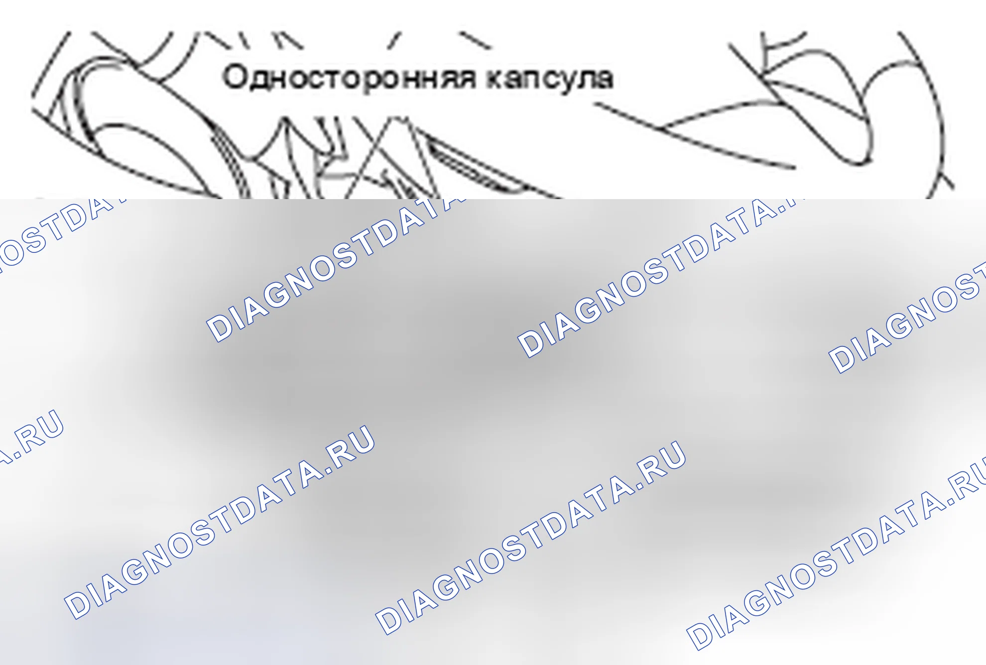Рис. 17: ПРОЦЕДУРА КОНТРОЛЯ. Honda e:NP1 I