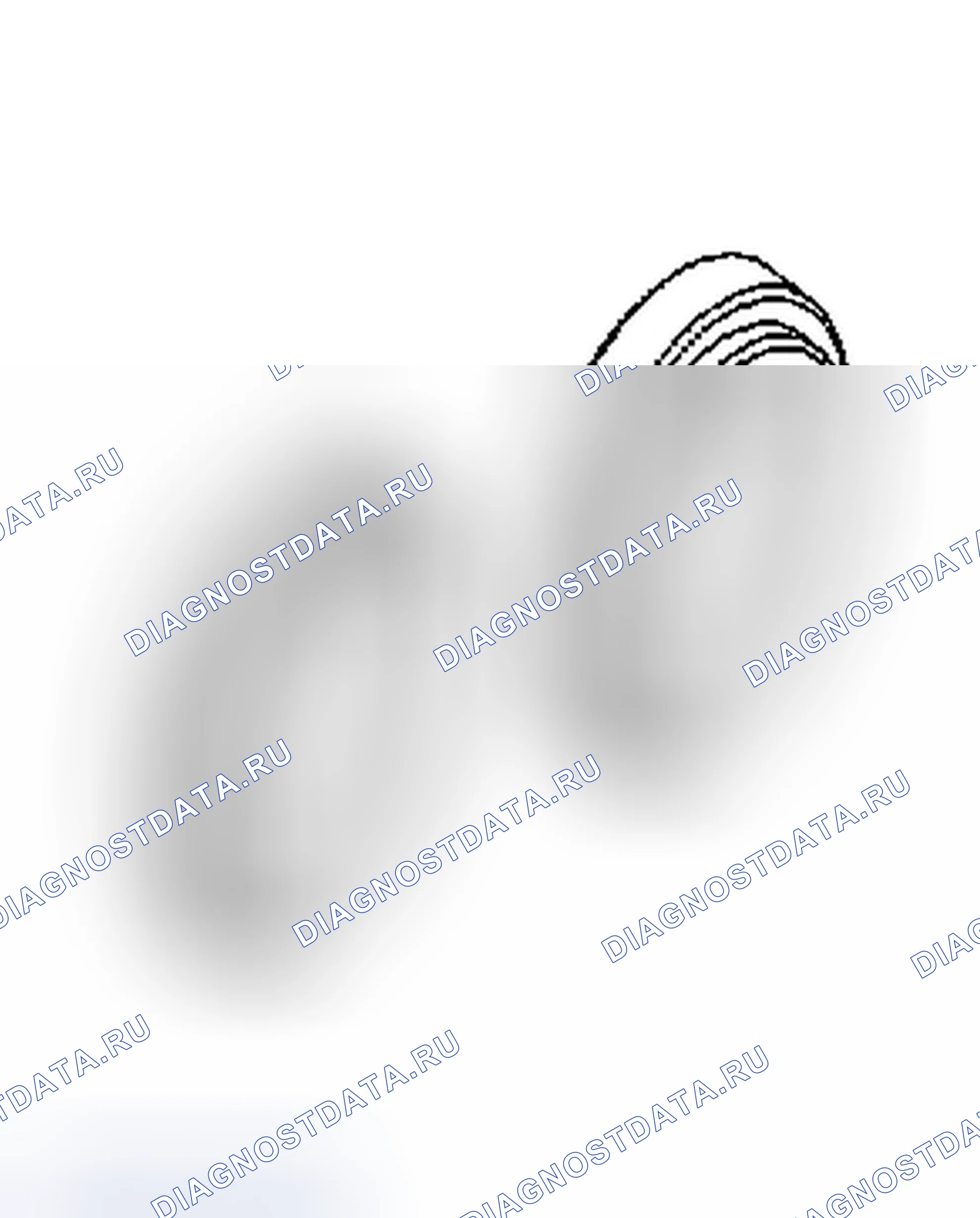 Рис. 237. Jeep Commander I