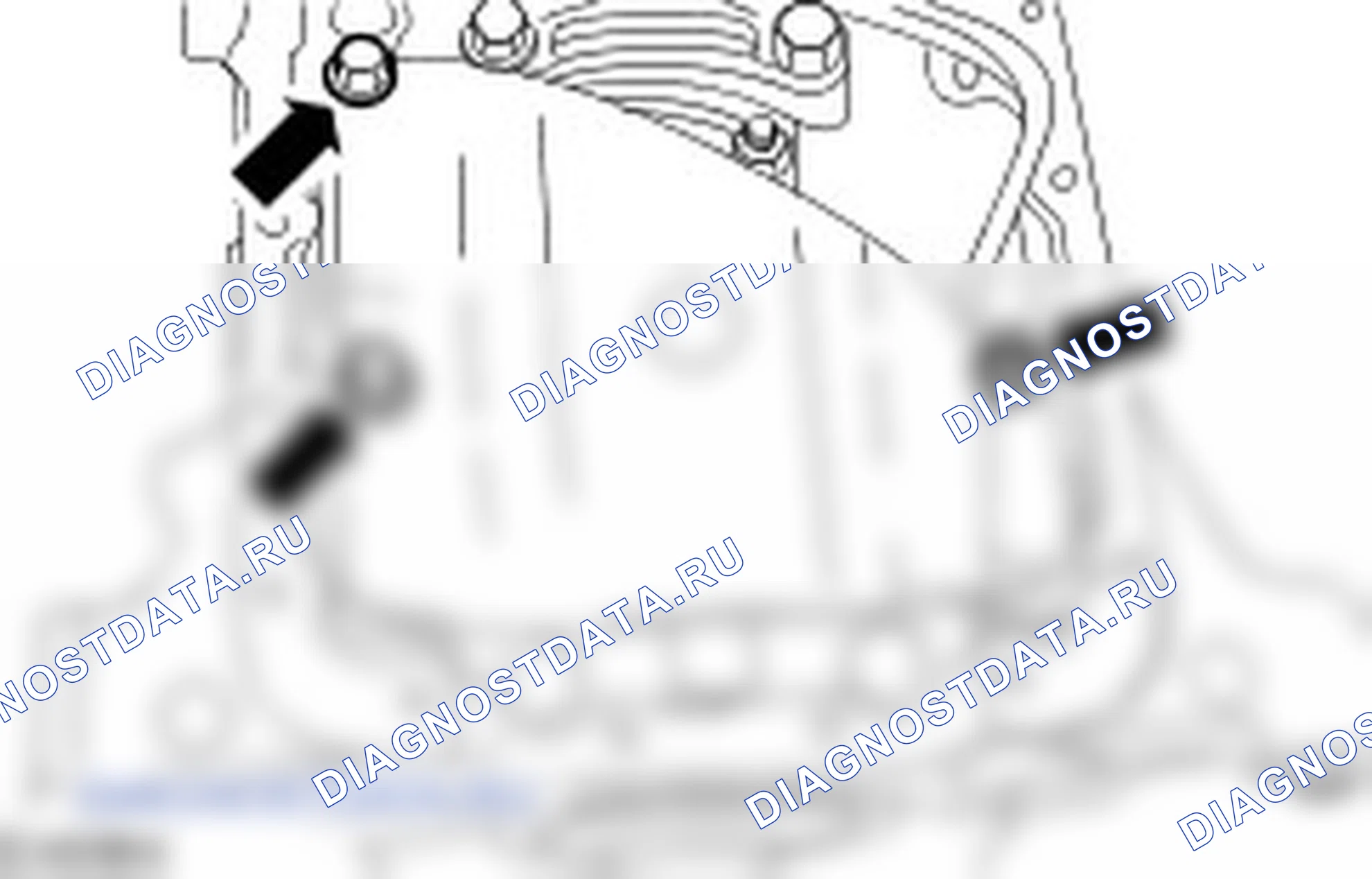 Разборка двигателя. Ford C-MAX I рестайлинг
